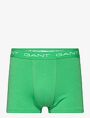 GANT - RUGBY STRIPE TRUNK 3-PACK - boxerkalsonger - mid green - 2