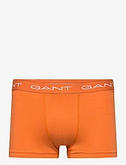 GANT - RUGBY STRIPE TRUNK 3-PACK - boxerkalsonger - pumpkin orange - 2