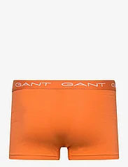 GANT - RUGBY STRIPE TRUNK 3-PACK - boxerkalsonger - pumpkin orange - 3
