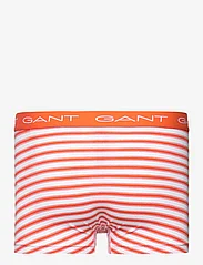 GANT - STRIPE TRUNK 3-PACK - multipack underpants - grapefruit orange - 1