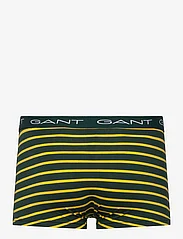 GANT - STRIPE TRUNK 3-PACK - boxer briefs - tartan green - 3