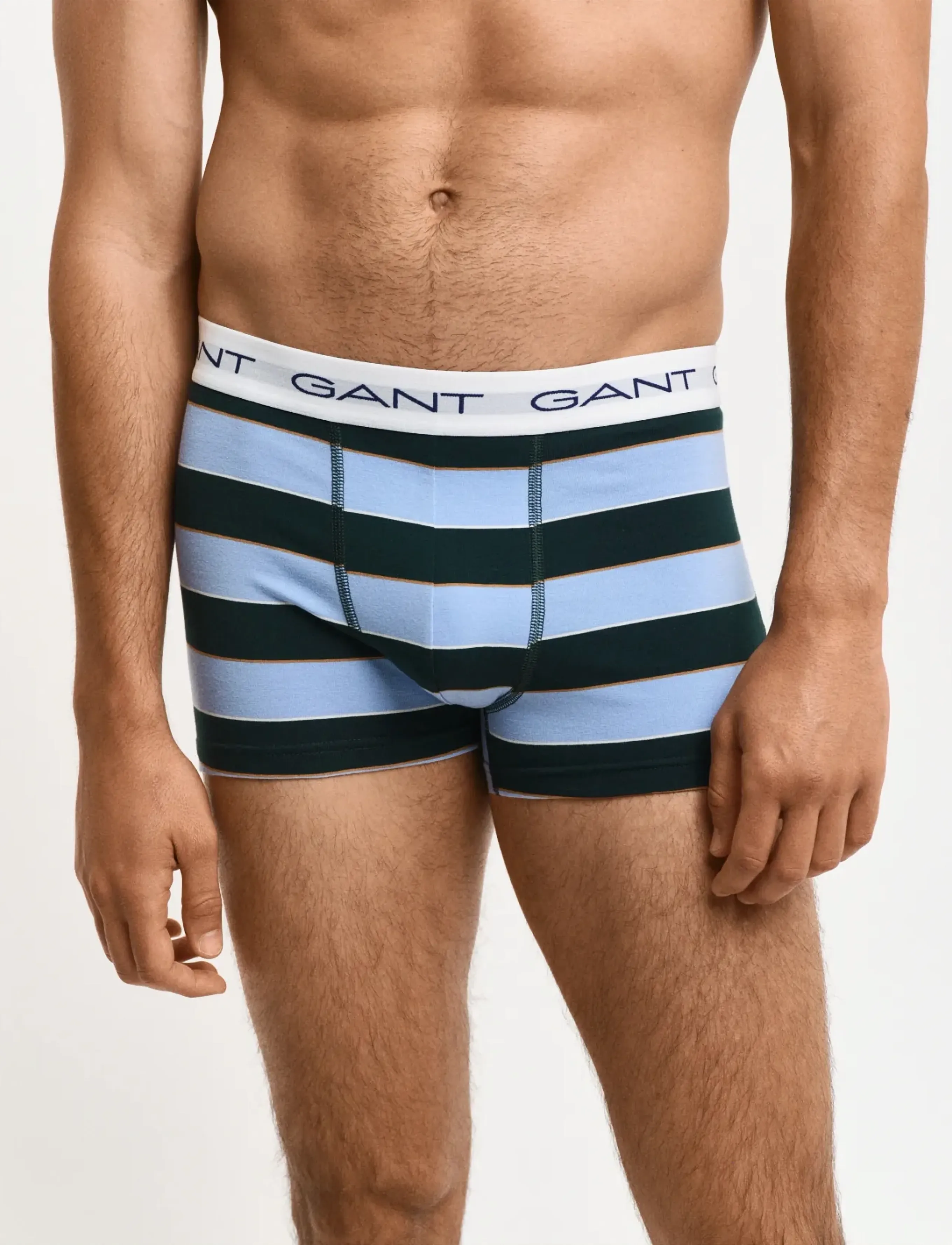 GANT MULTISTRIPE TRUNK 3-PACK - Preppy - WHITE / blue