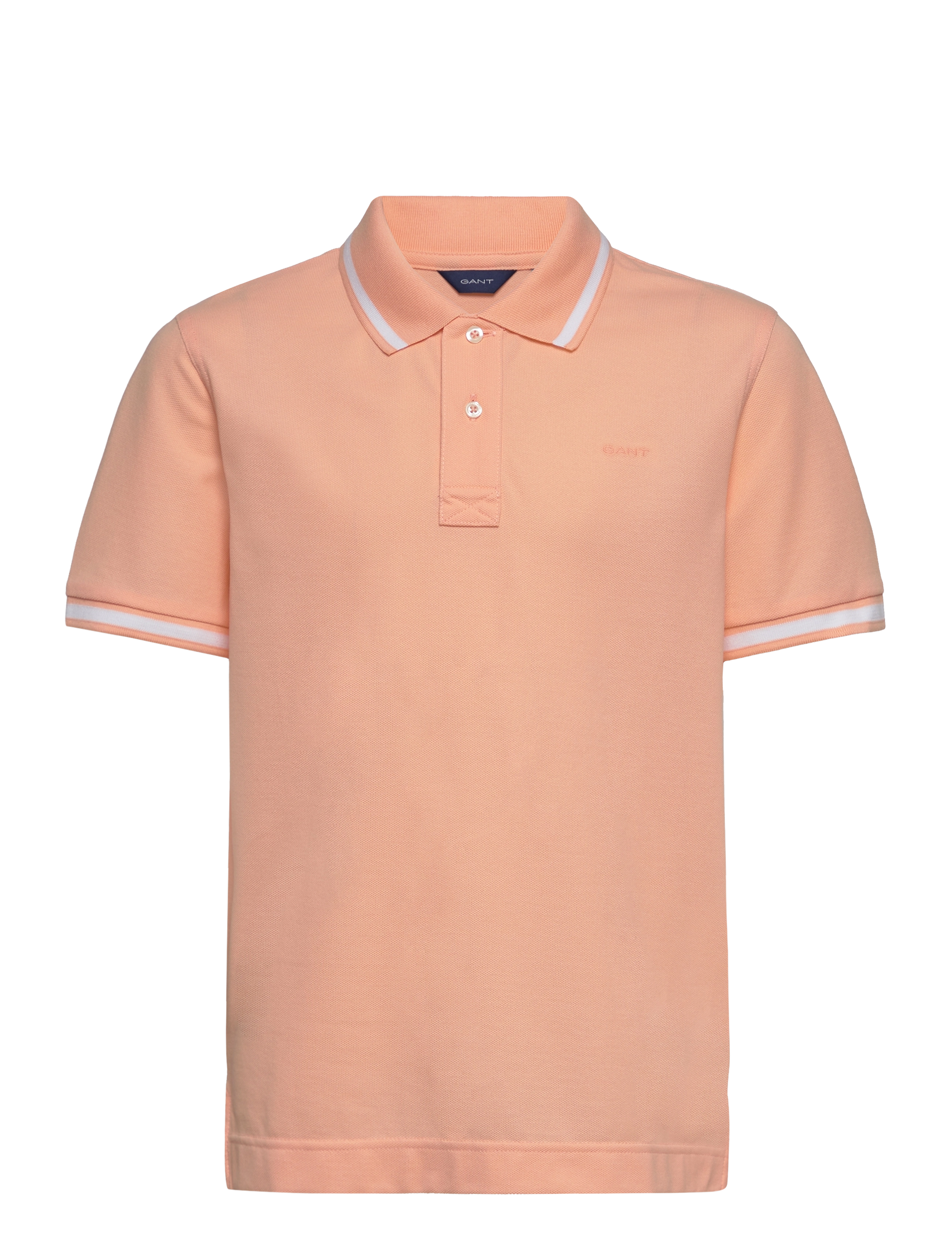 APRICOT CREAM