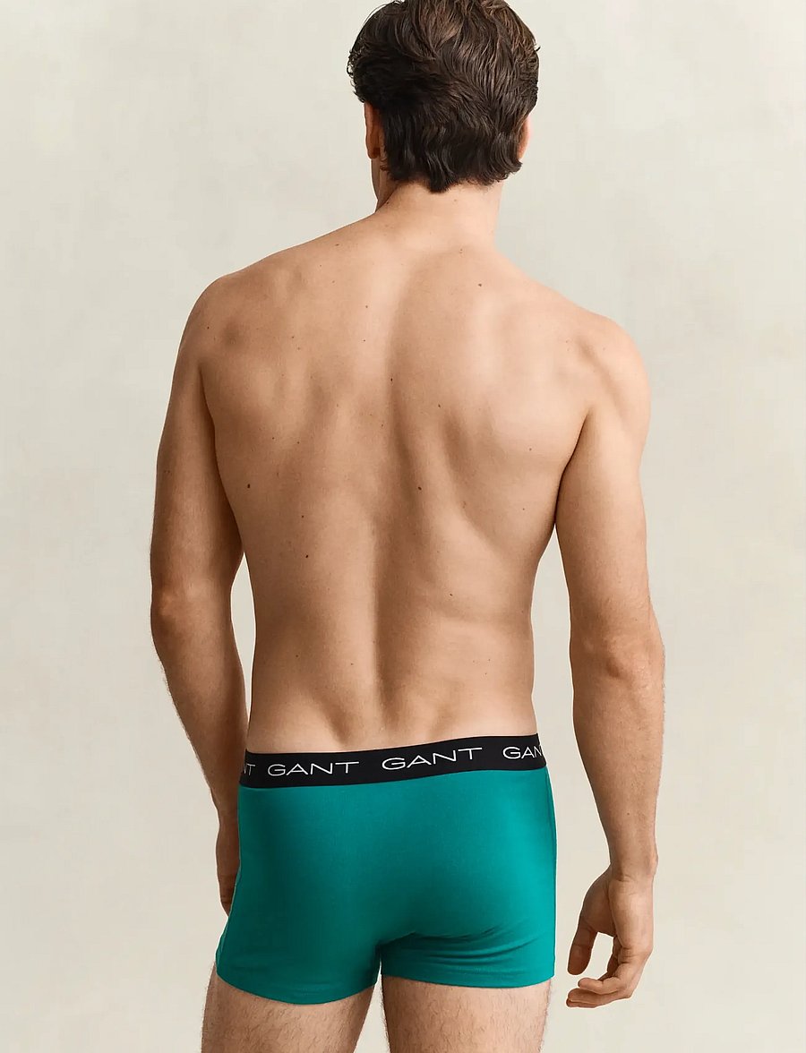 Gant - TRUNK 3-PACK - alushousut monipakkauksessa - aqua blue - 2