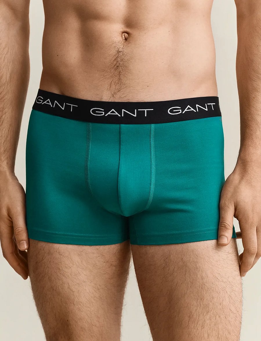 Gant - TRUNK 3-PACK - alushousut monipakkauksessa - aqua blue - 3