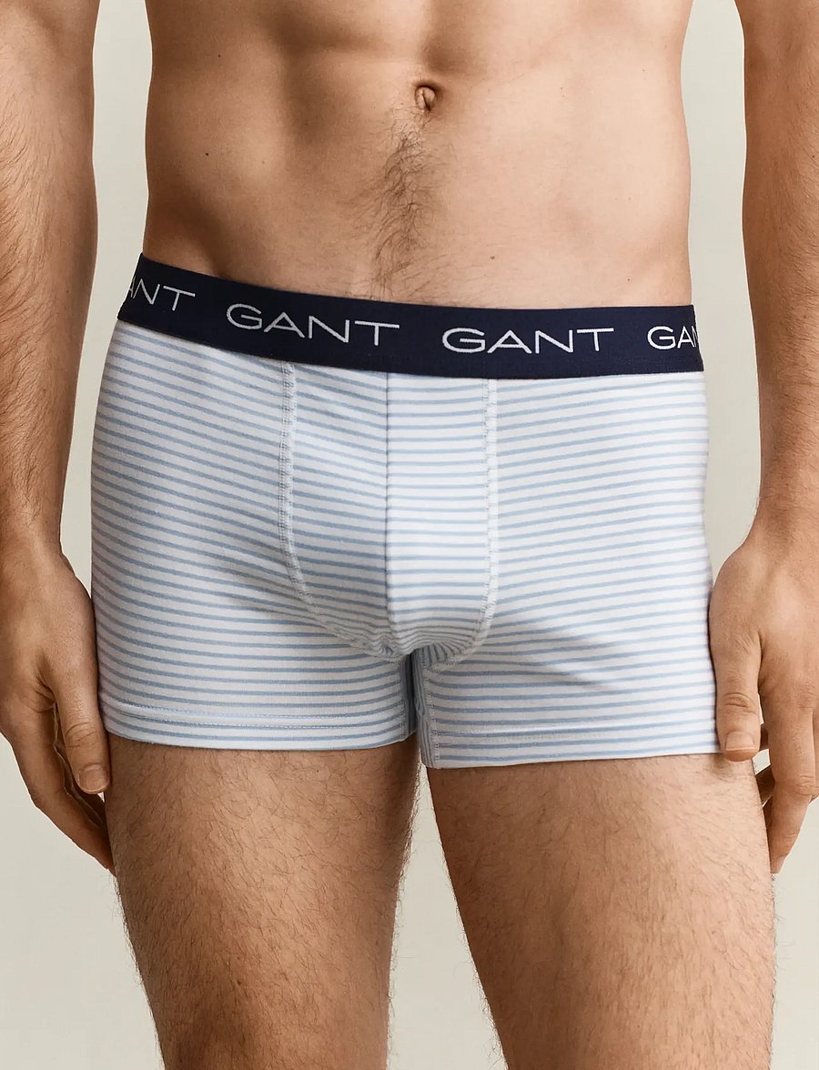 Gant - THIN STRIPE TRUNK 3-PACK - multipakk aluspüksid - marine - 3
