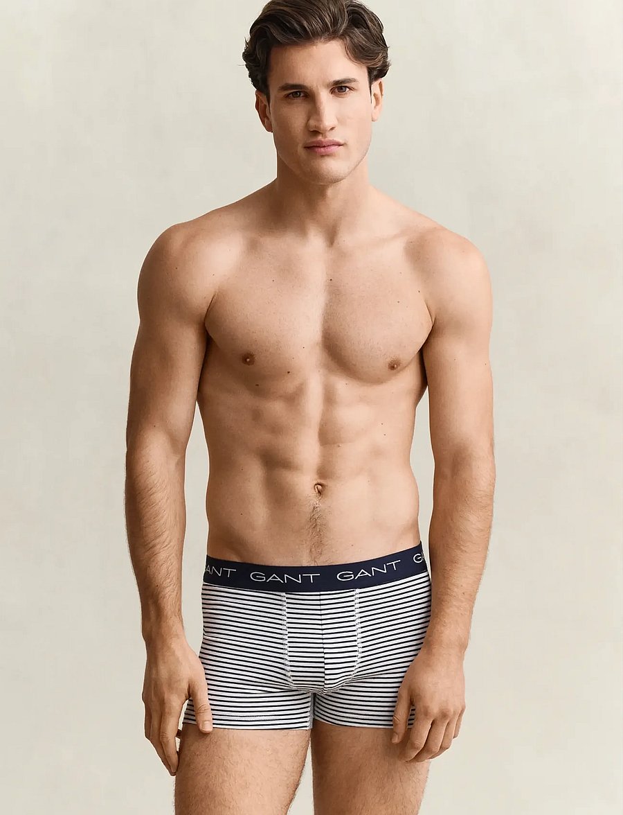 Gant - THIN STRIPE TRUNK 3-PACK - multipakk aluspüksid - vintage blue - 0