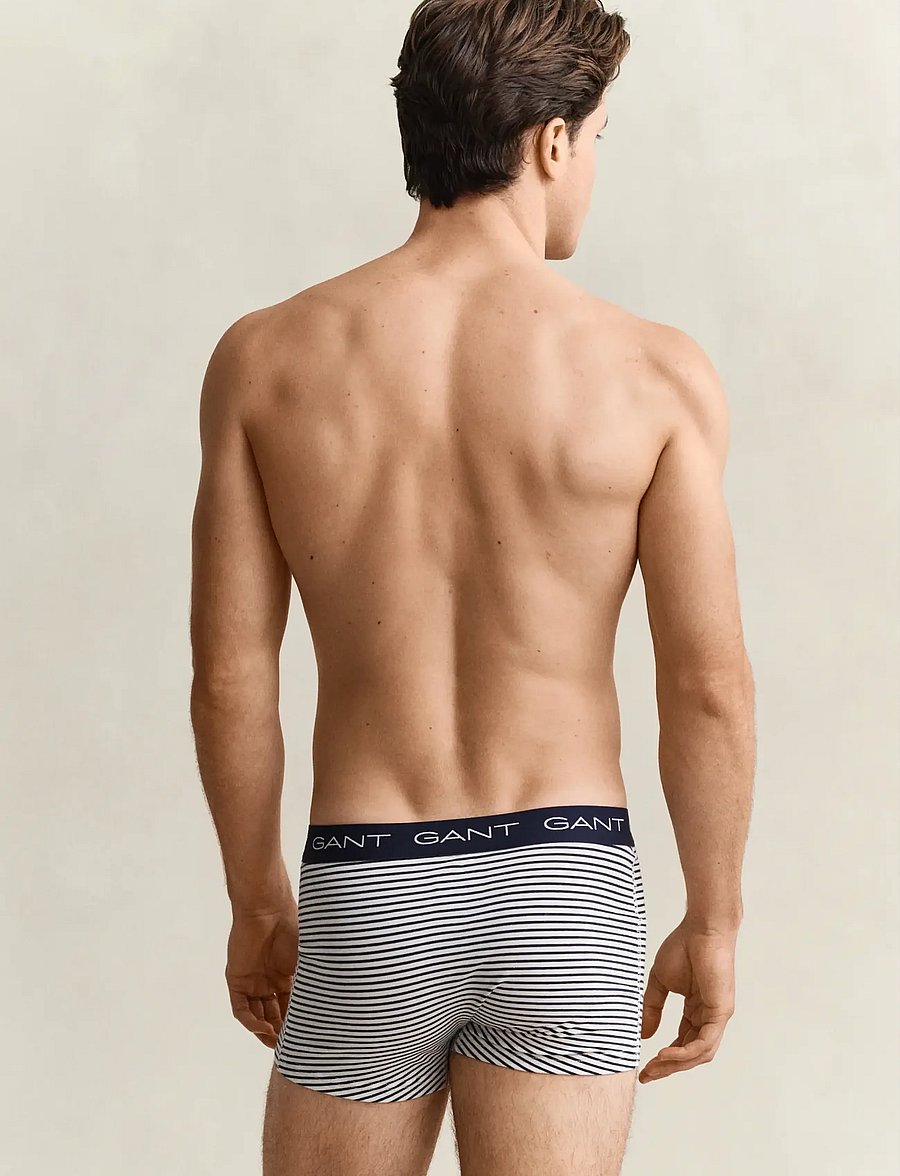Gant - THIN STRIPE TRUNK 3-PACK - multipakk aluspüksid - vintage blue - 2