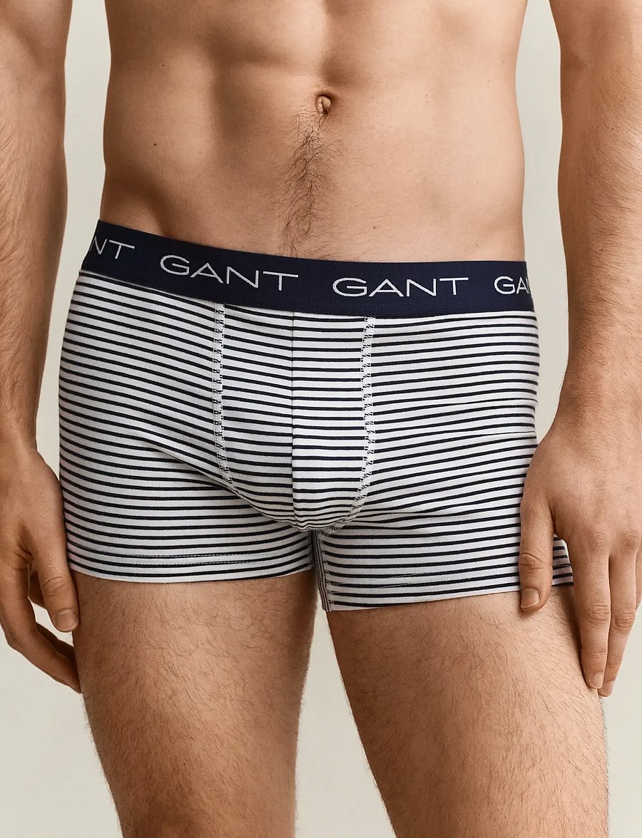 Gant - THIN STRIPE TRUNK 3-PACK - multipakk aluspüksid - vintage blue - 3