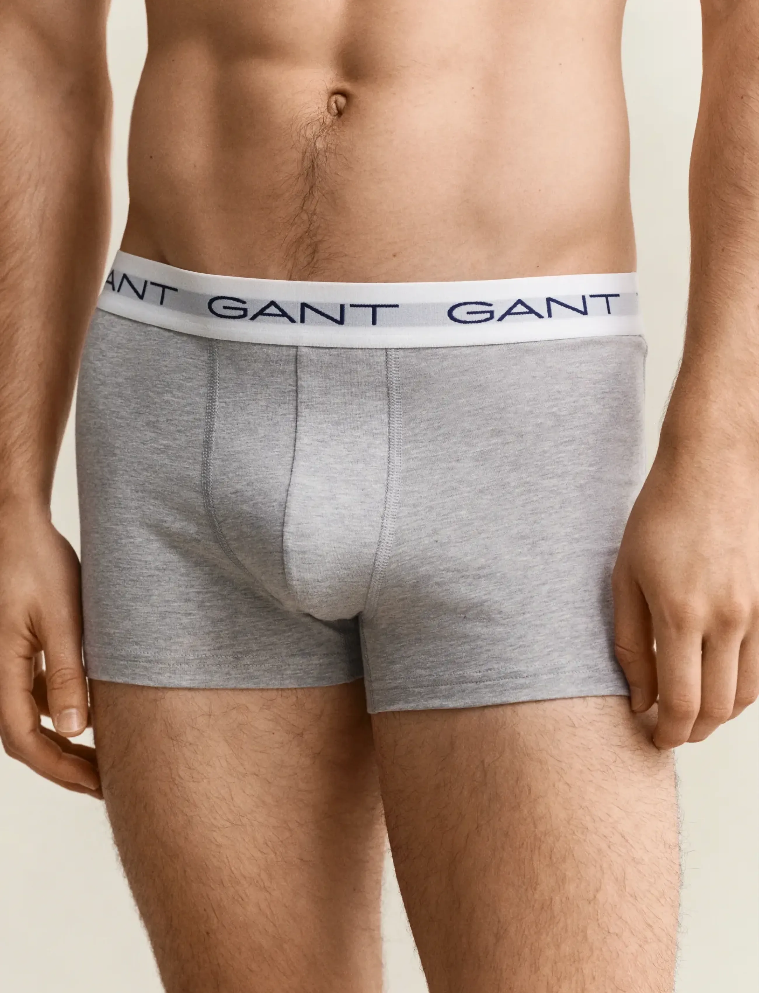 Gant - TRUNK 5-PACK - multipakk aluspüksid - light grey melange - 3