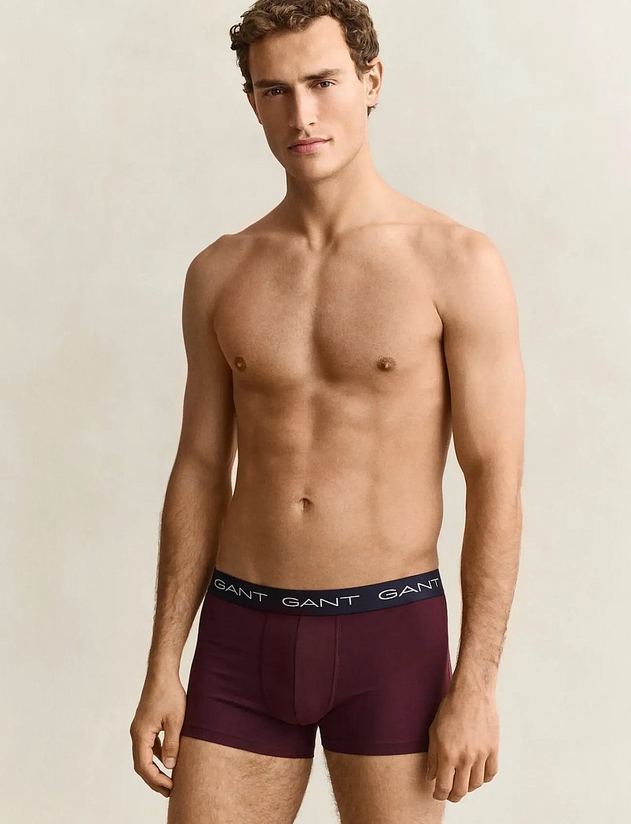 Gant - TRUNK 3-PACK - trunks - darkened wine - 0