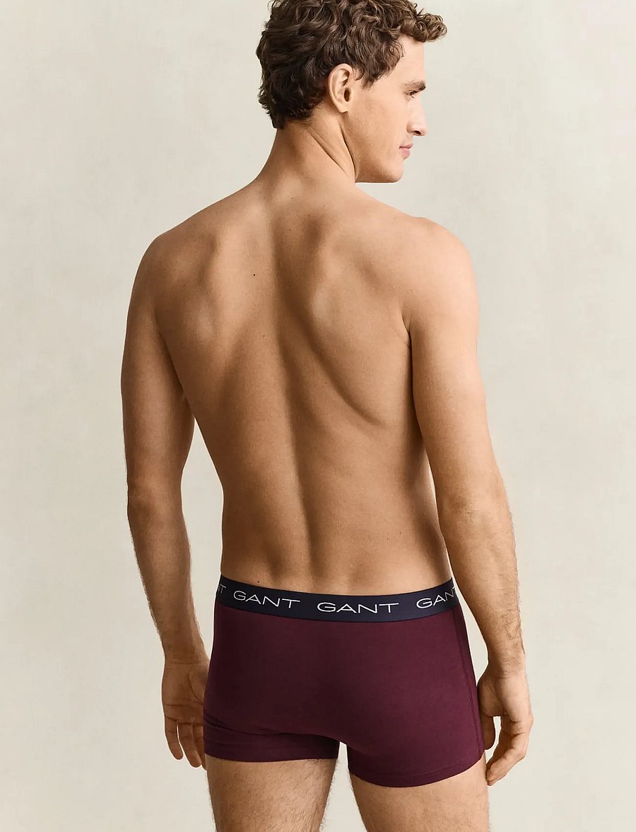 Gant - TRUNK 3-PACK - trunks - darkened wine - 3