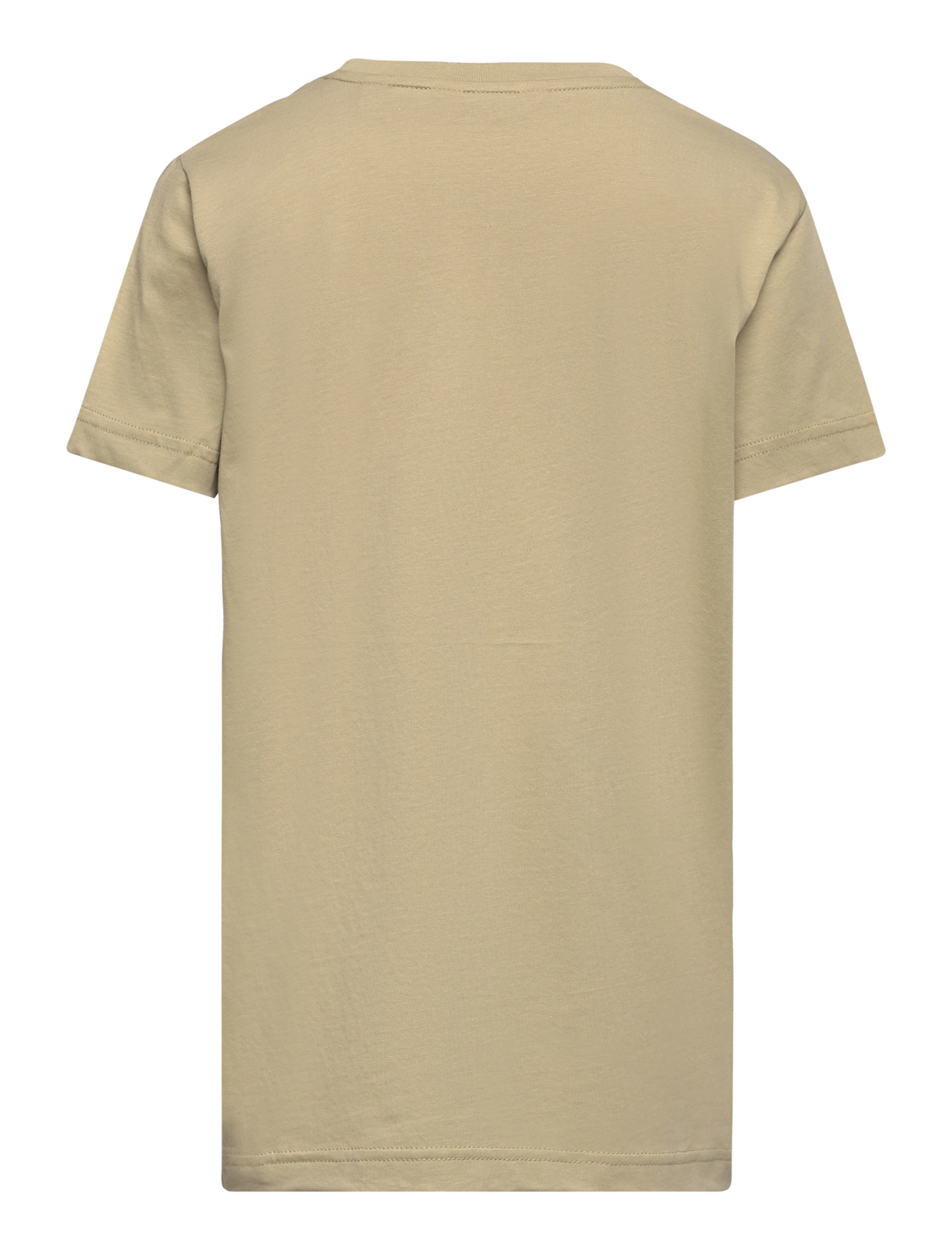 Gant - TONAL AS SS T-SHIRT - beige green - 1