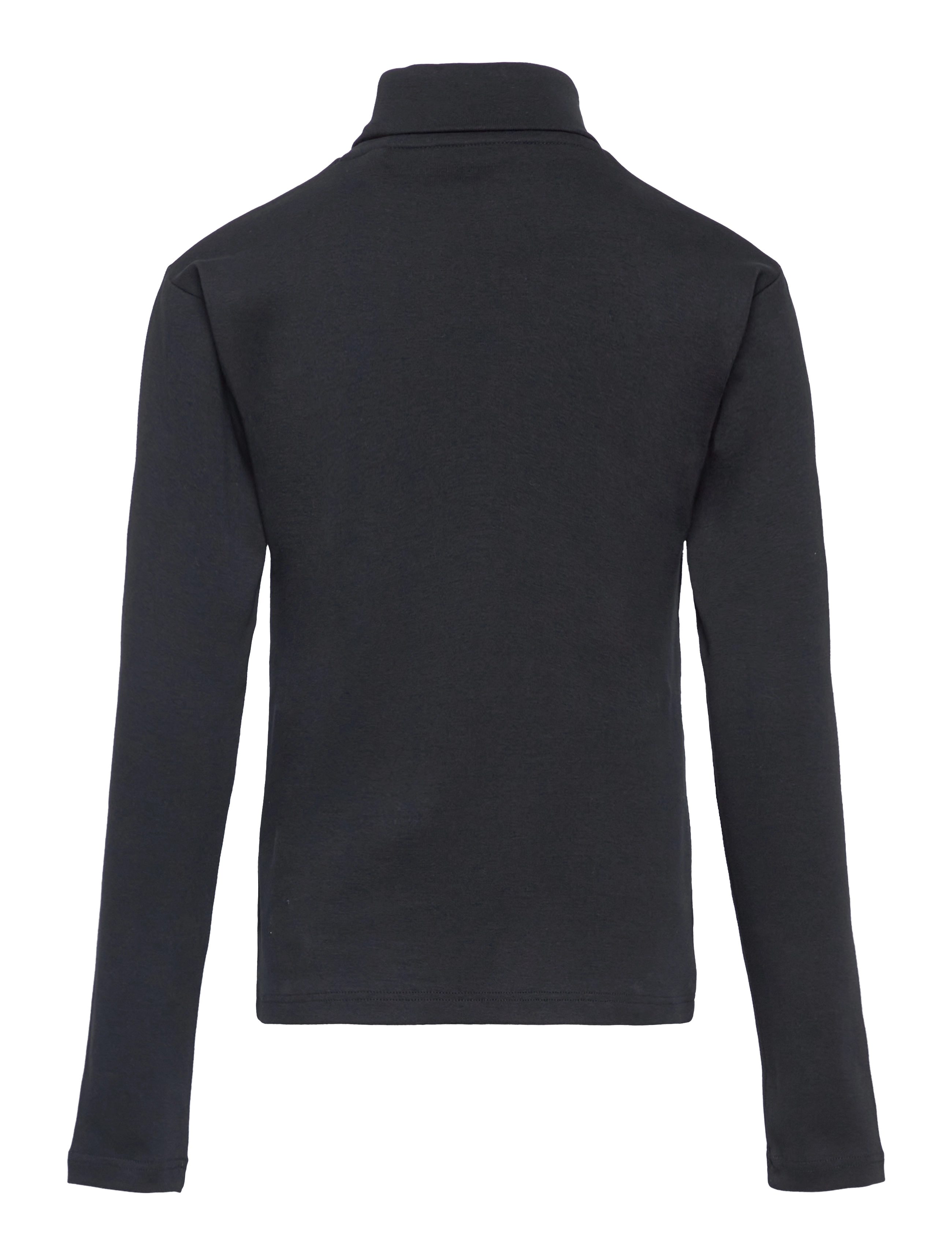 Gant - SHIELD LS TURTLE NECK - poolopaidat - black - 2