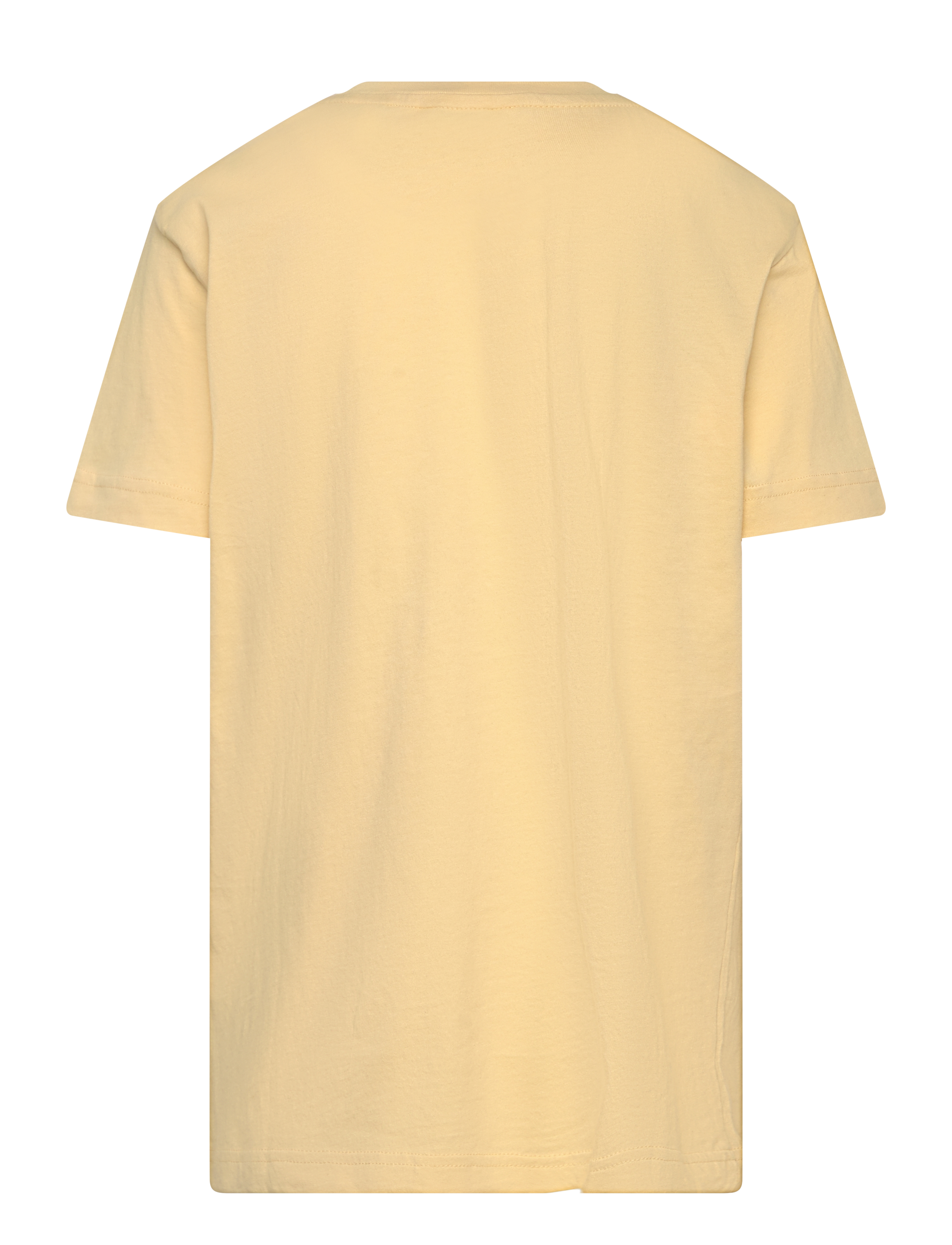 Gant - GANT SAILING GAPHIC T-SHIRT - kortærmede t-shirts - dusty light yellow - 1