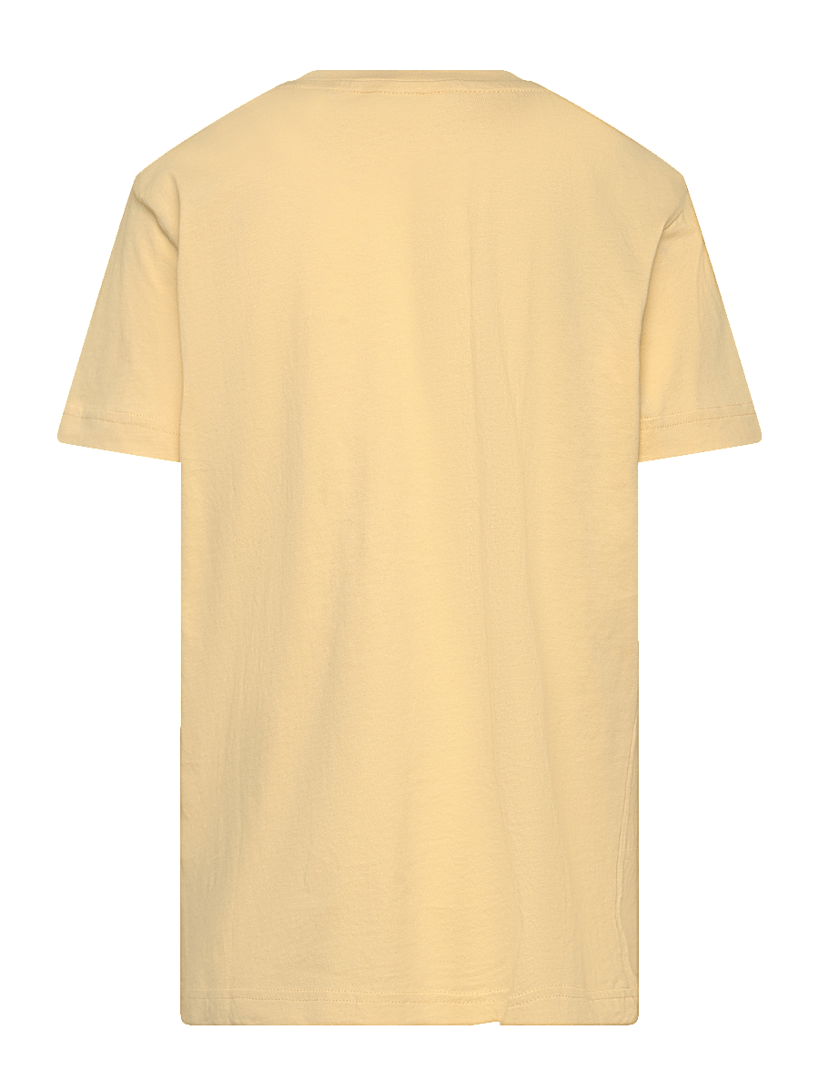 Gant - GANT SAILING GAPHIC T-SHIRT - lühikeste varrukatega t-särgid - dusty light yellow - 1