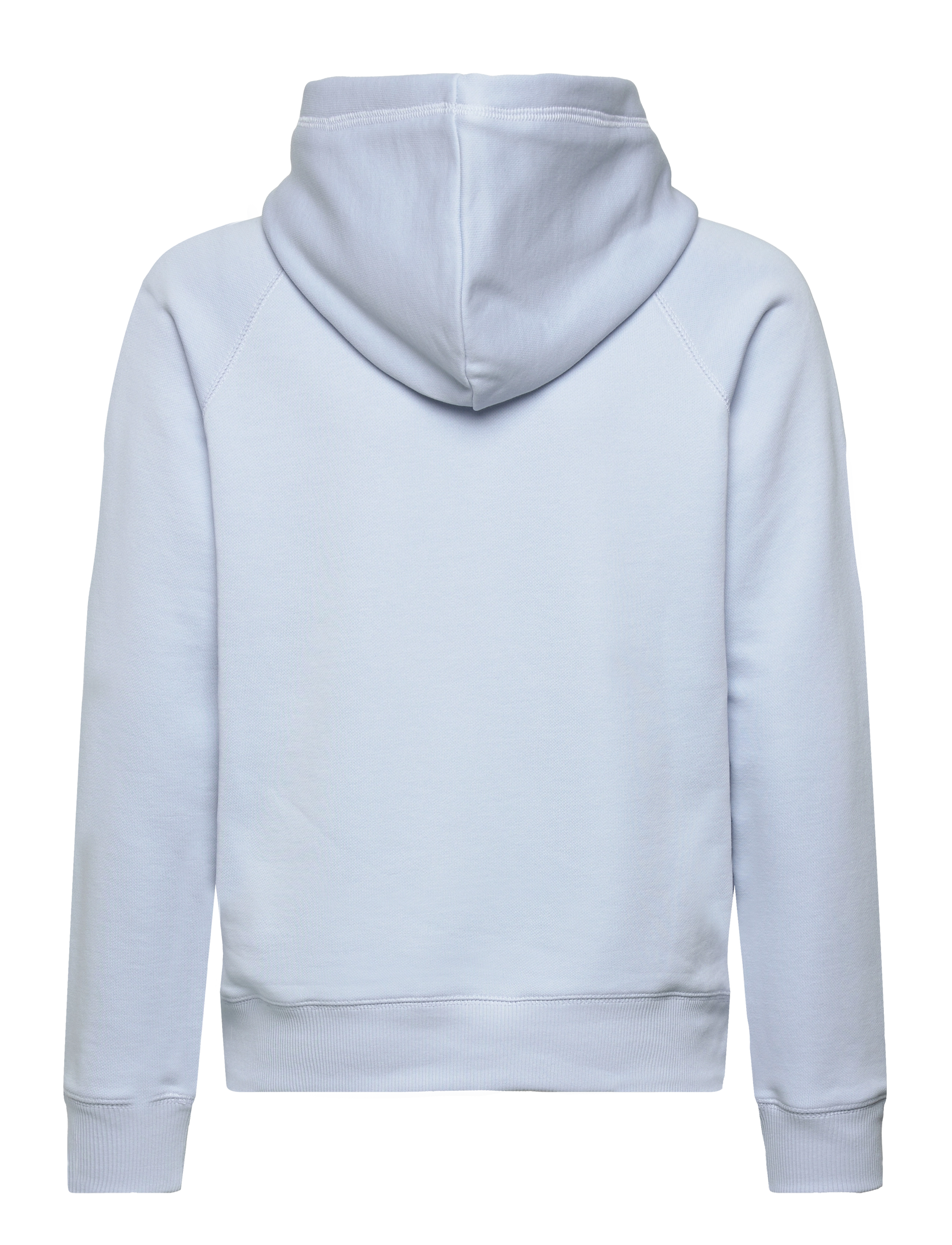 Gant - SHIELD HOODIE - kapuutsiga dressipluusid - fresh blue - 1