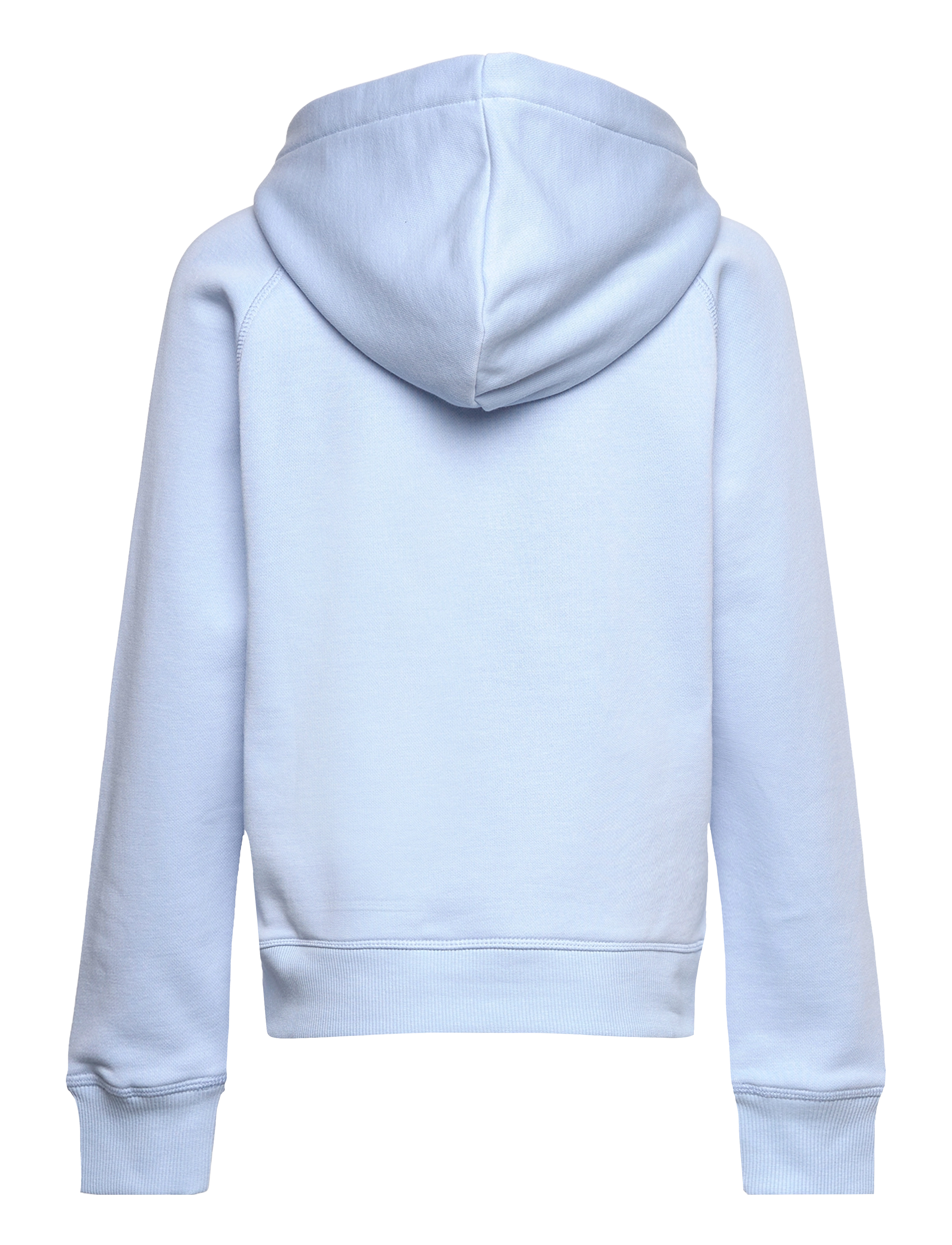 Gant - SHIELD HOODIE - kapuzenpullover - shade blue - 1