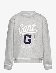 GANT - RELAXED GRAPHIC SWEAT C-NECK - sweatshirts - light grey melange - 0