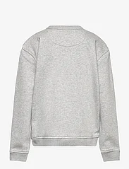 GANT - RELAXED GRAPHIC SWEAT C-NECK - sweatshirts - light grey melange - 1