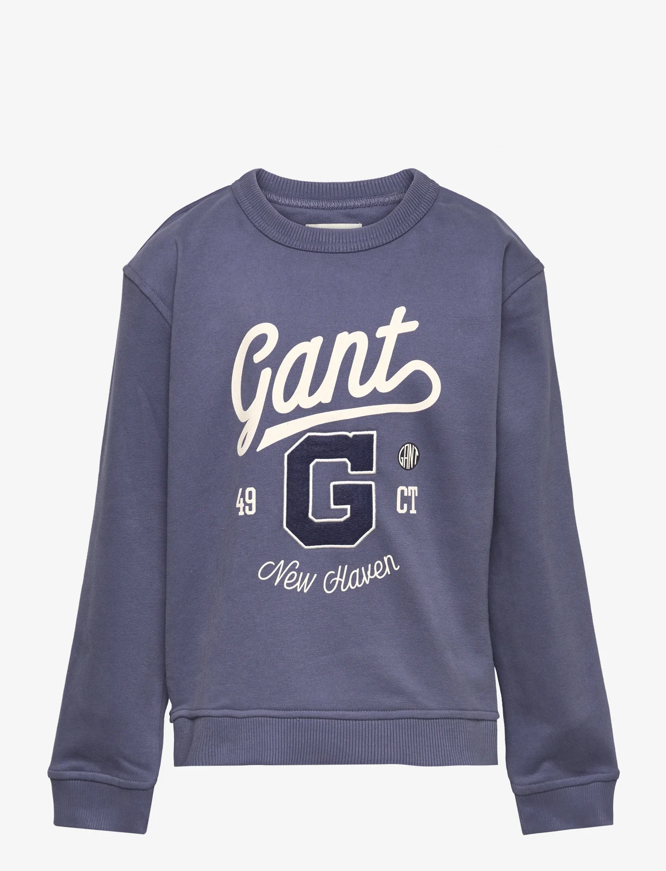 GANT - RELAXED GRAPHIC SWEAT C-NECK - džemperiai - washed blue - 0
