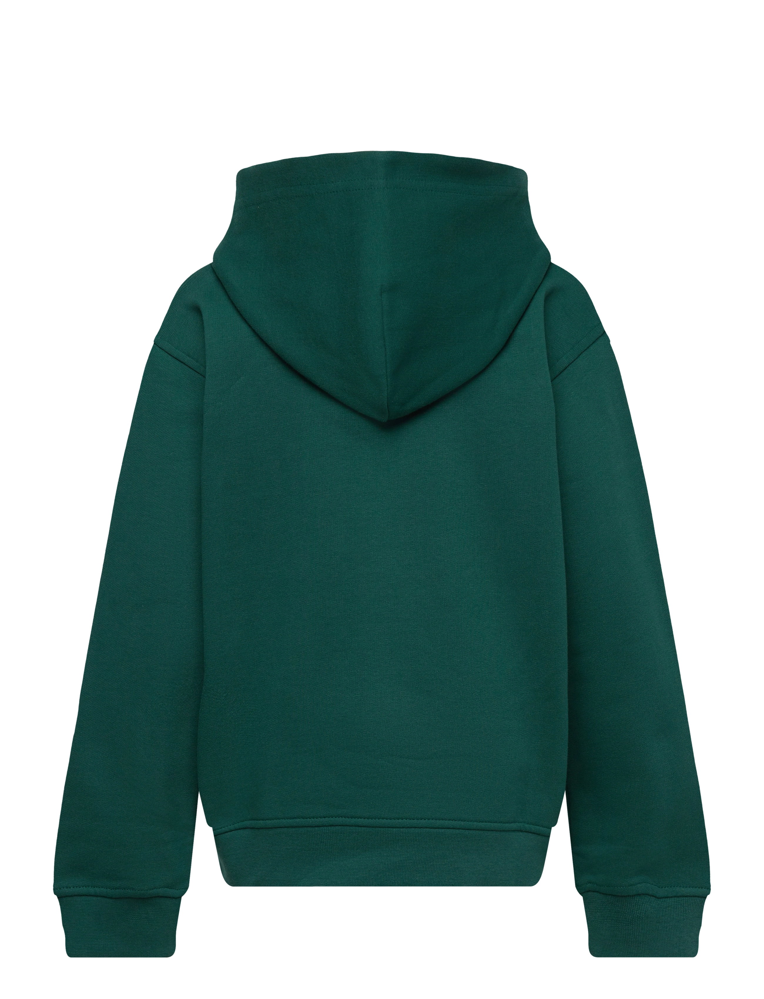 GANT - RELAXED CONTRAST SHIELD HOODIE - deep forest - 1