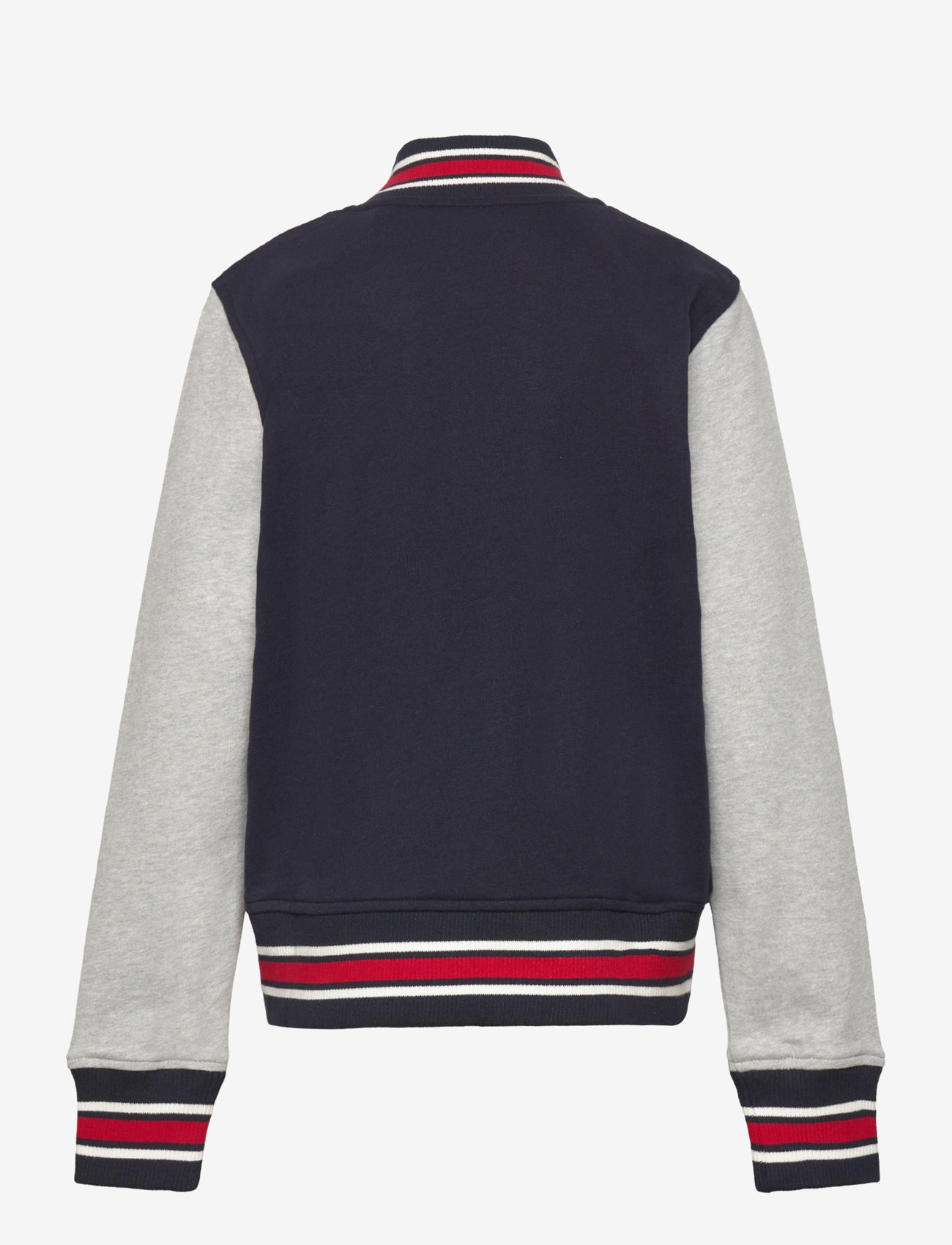 Gant - GANT VARSITY SWEAT JACKET - lette jakker - evening blue - 1