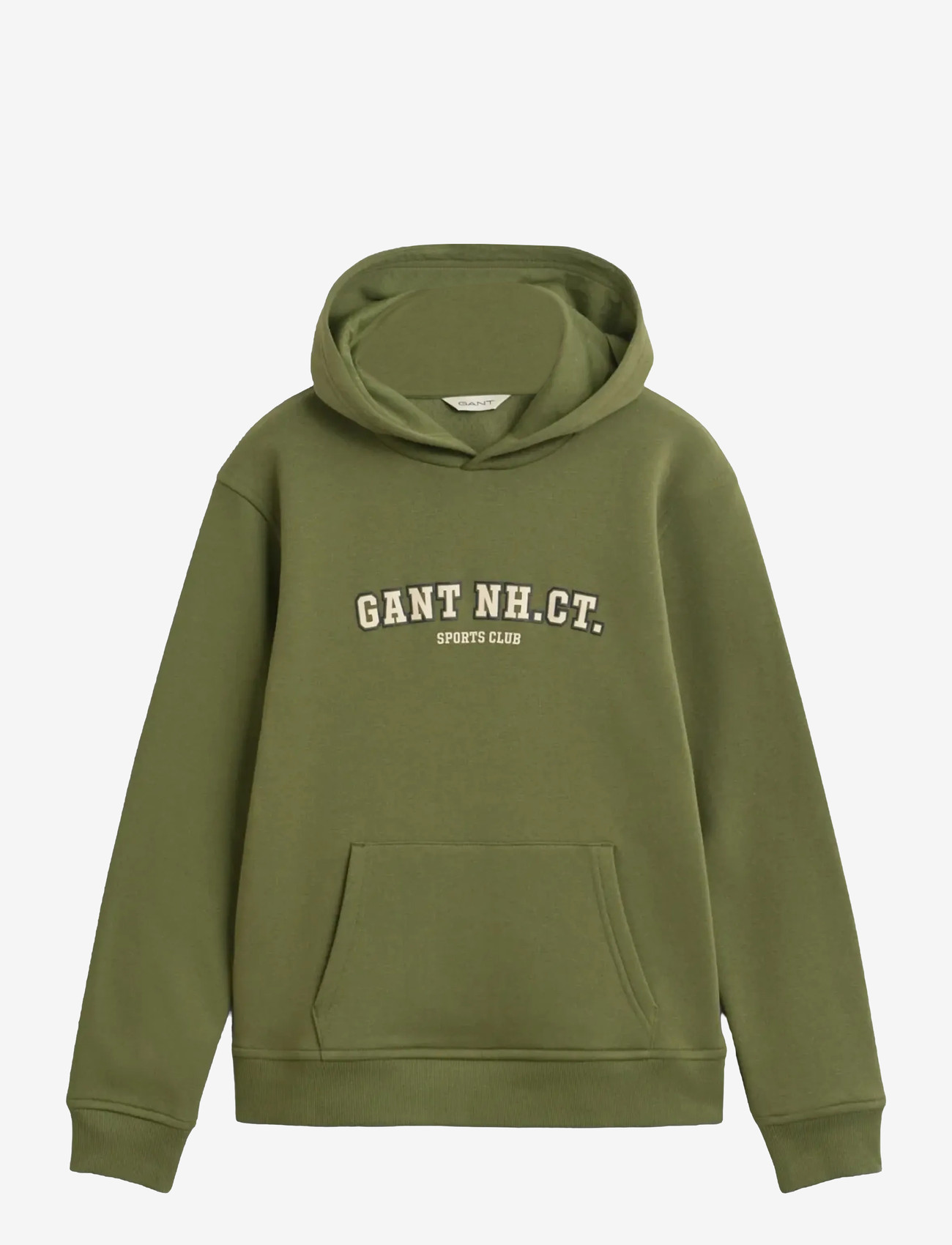 Gant - GRAPHIC SWEATSHIRT HOODIE - sweatshirts & kapuzenpullover - washed olive - 0