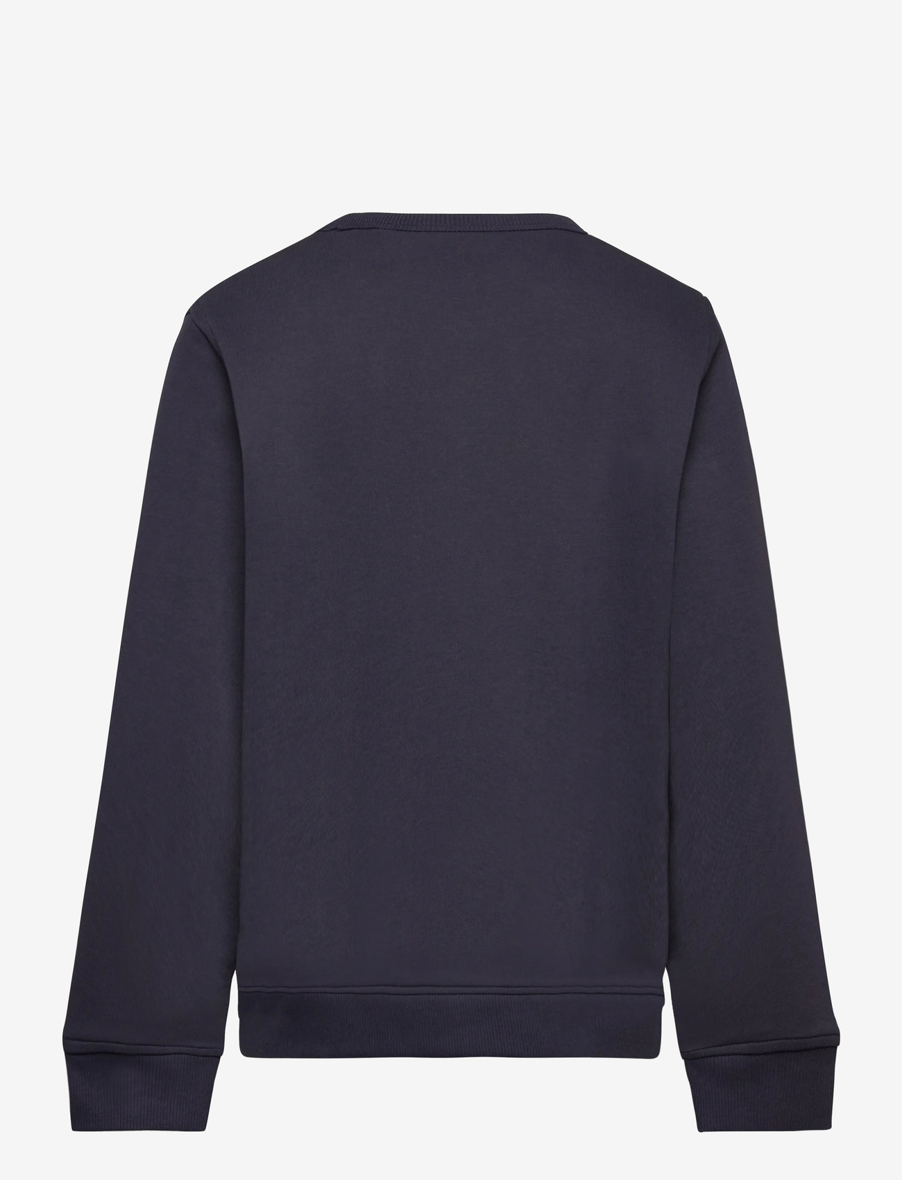 GANT - GRAPHIC C-NECK SWEAT - sweatshirts - evening blue - 1