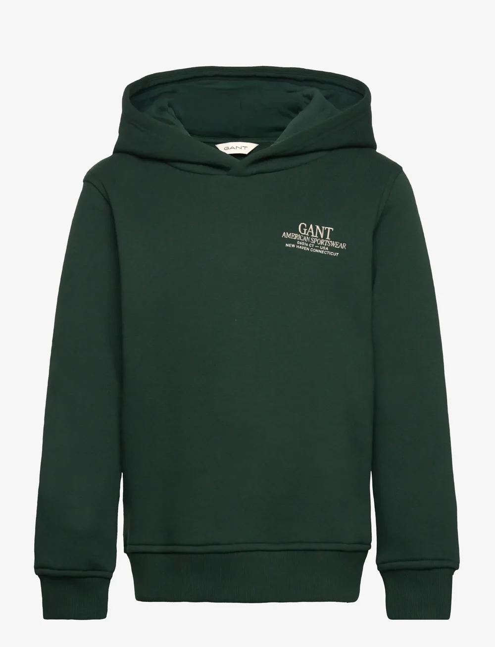 GANT - GRAPHIC HOODIE - kapuutsiga dressipluusid - tartan green - 0