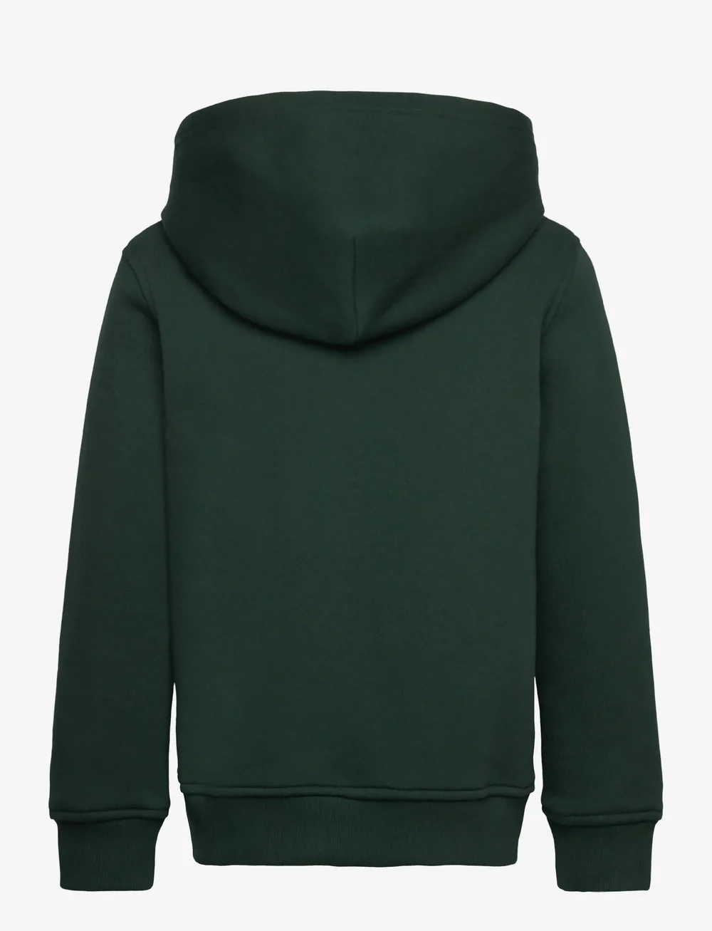 GANT - GRAPHIC HOODIE - kapuutsiga dressipluusid - tartan green - 1