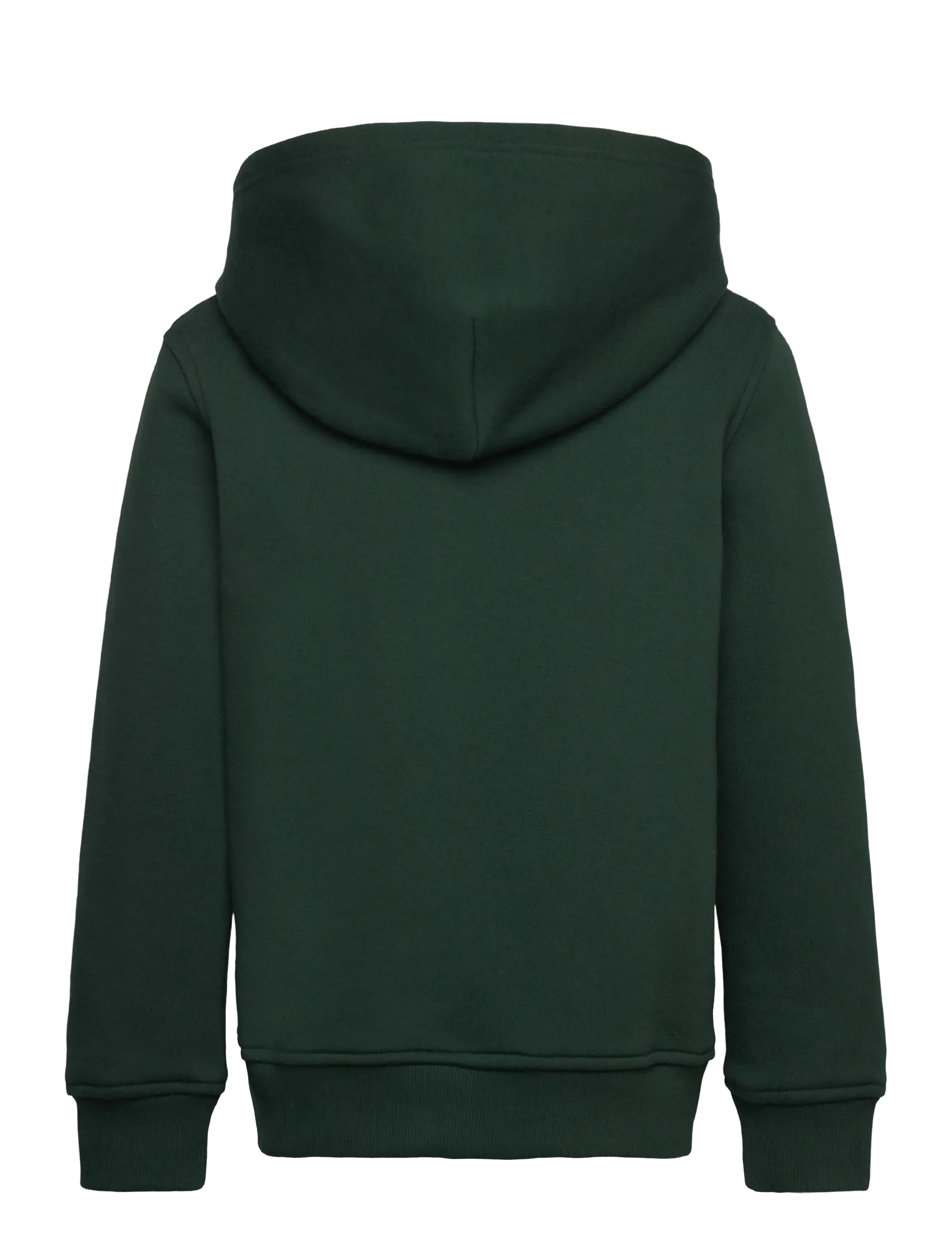 Gant - GRAPHIC HOODIE - hoodies - tartan green - 1