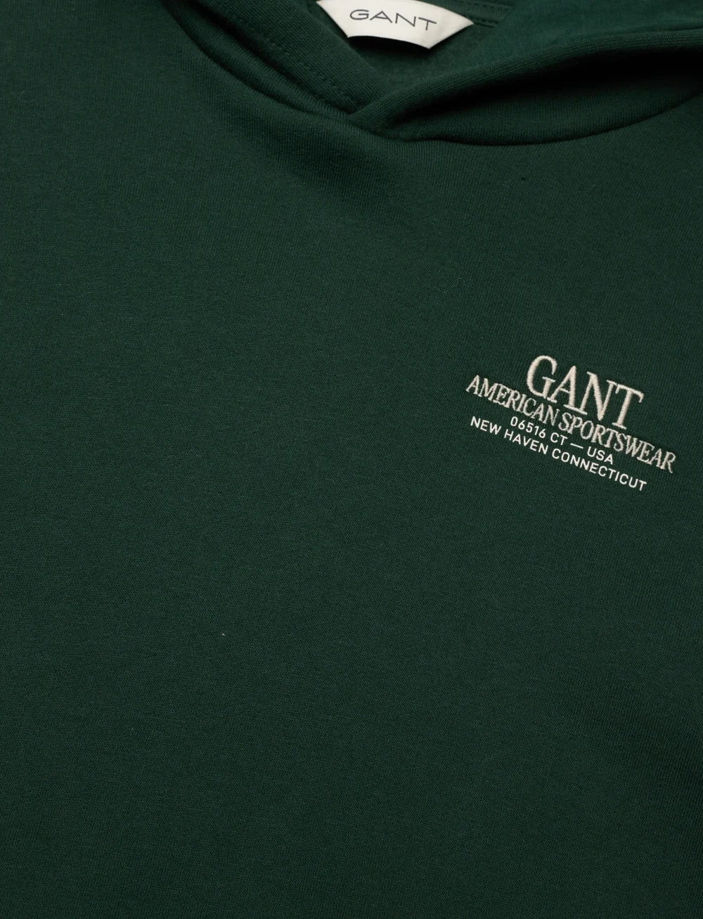 GANT - GRAPHIC HOODIE - kapuutsiga dressipluusid - tartan green - 2