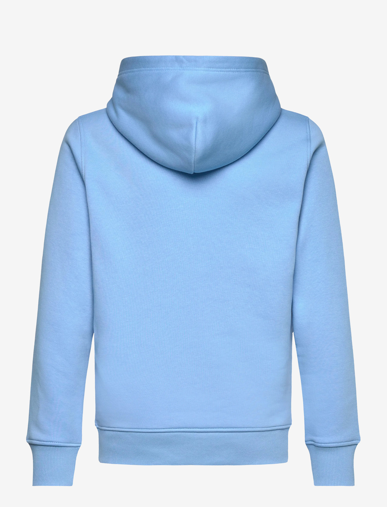 GANT - TONAL AS HOODIE - hættetrøjer - dream blue - 1