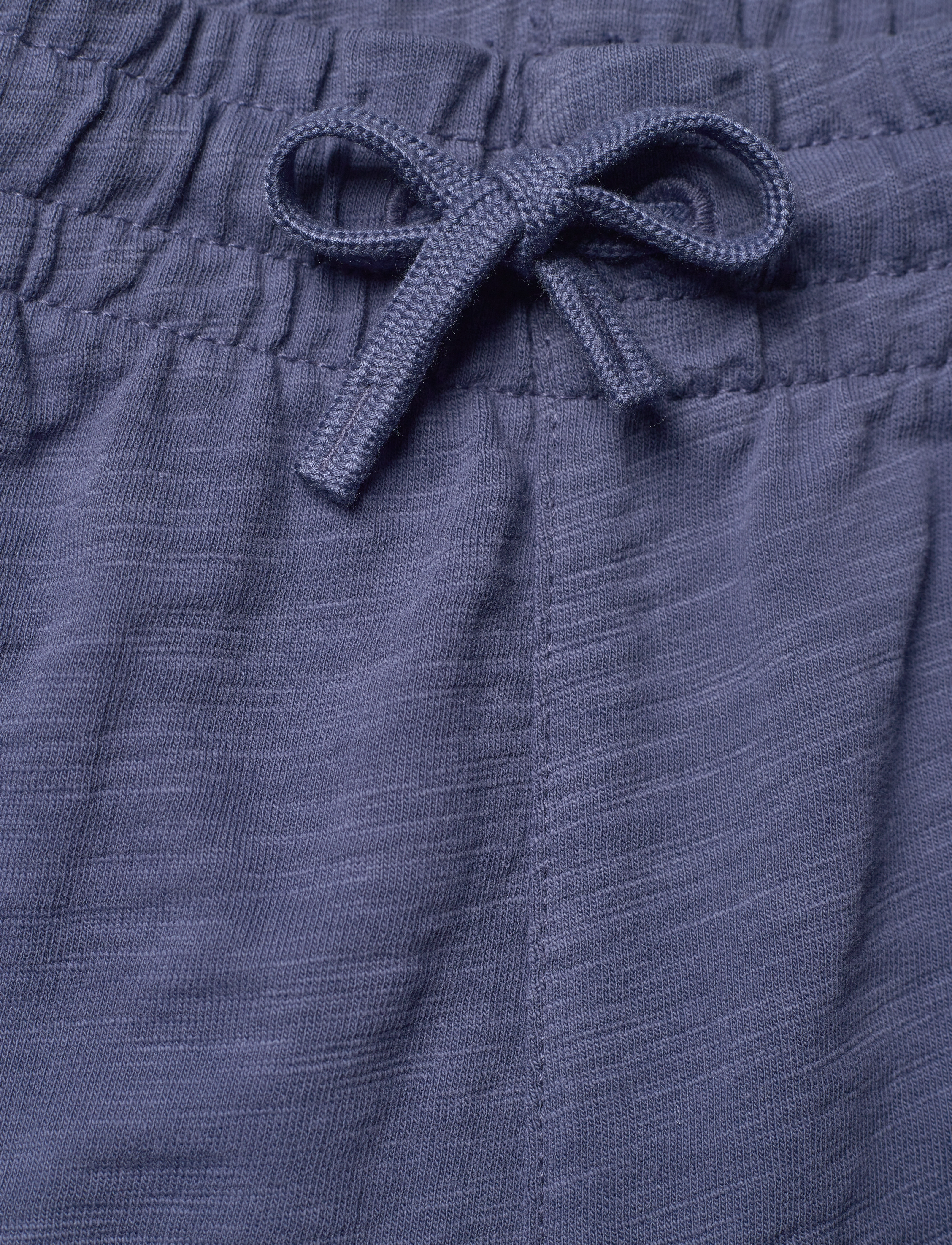 Gant - SHIELD COTTON SLUB SHORTS - lühikesed dressipüksid - dusty navy - 3