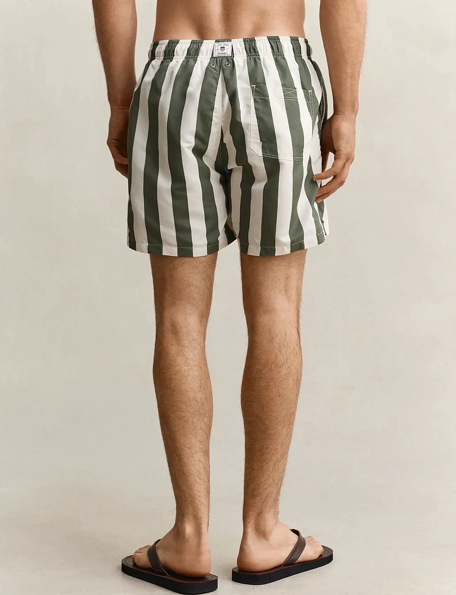Gant - BLOCK STRIPED SWIM SHORTS - badeshorts - dry herb green - 2