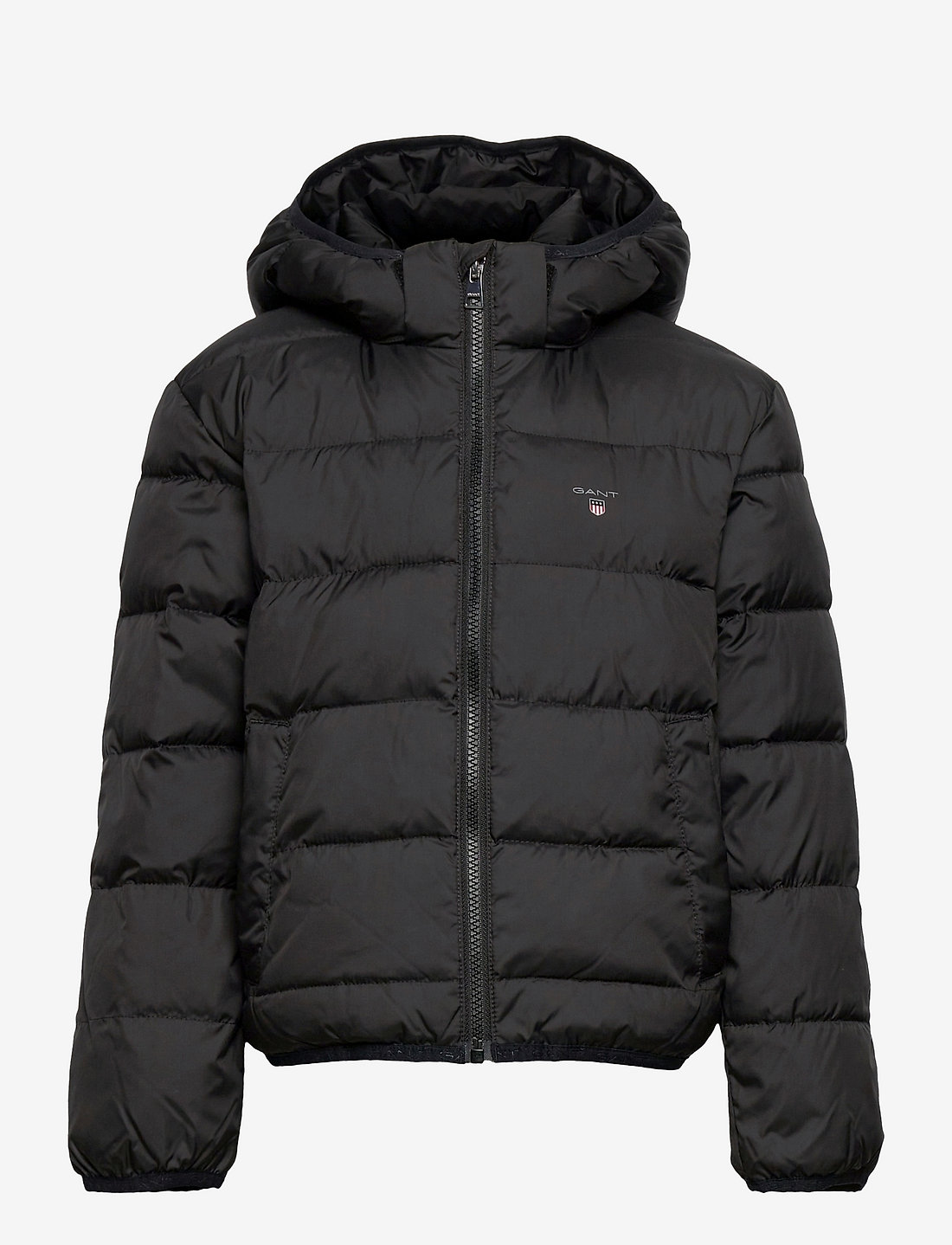 Gant top padded jacket