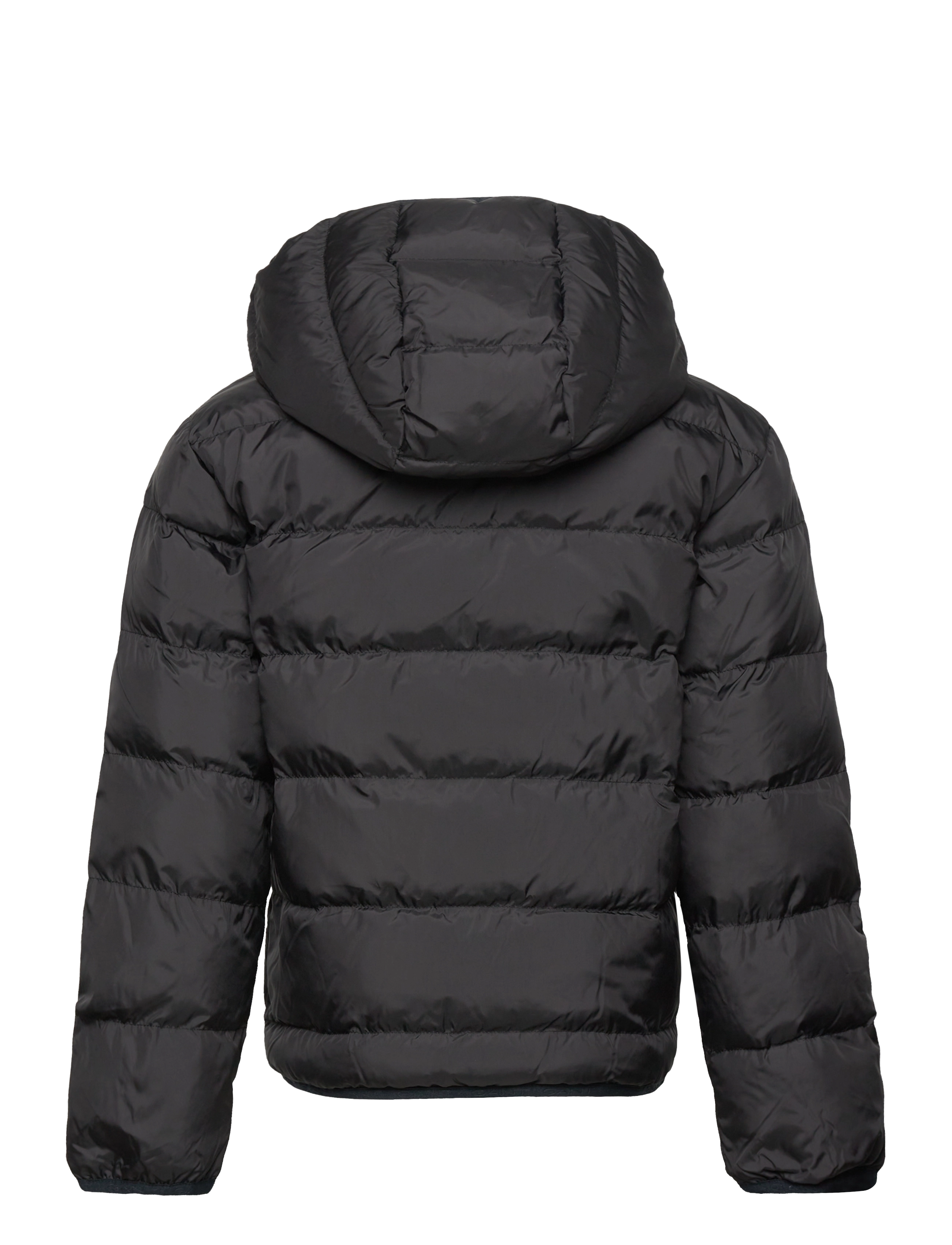 GANT - LIGHT PADDED SHIELD JACKET - black - 1