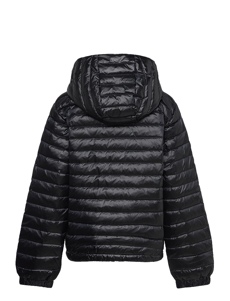 GANT - SHINY LIGHT PADDED DOWN JACKET - vinterjakker - black - 2