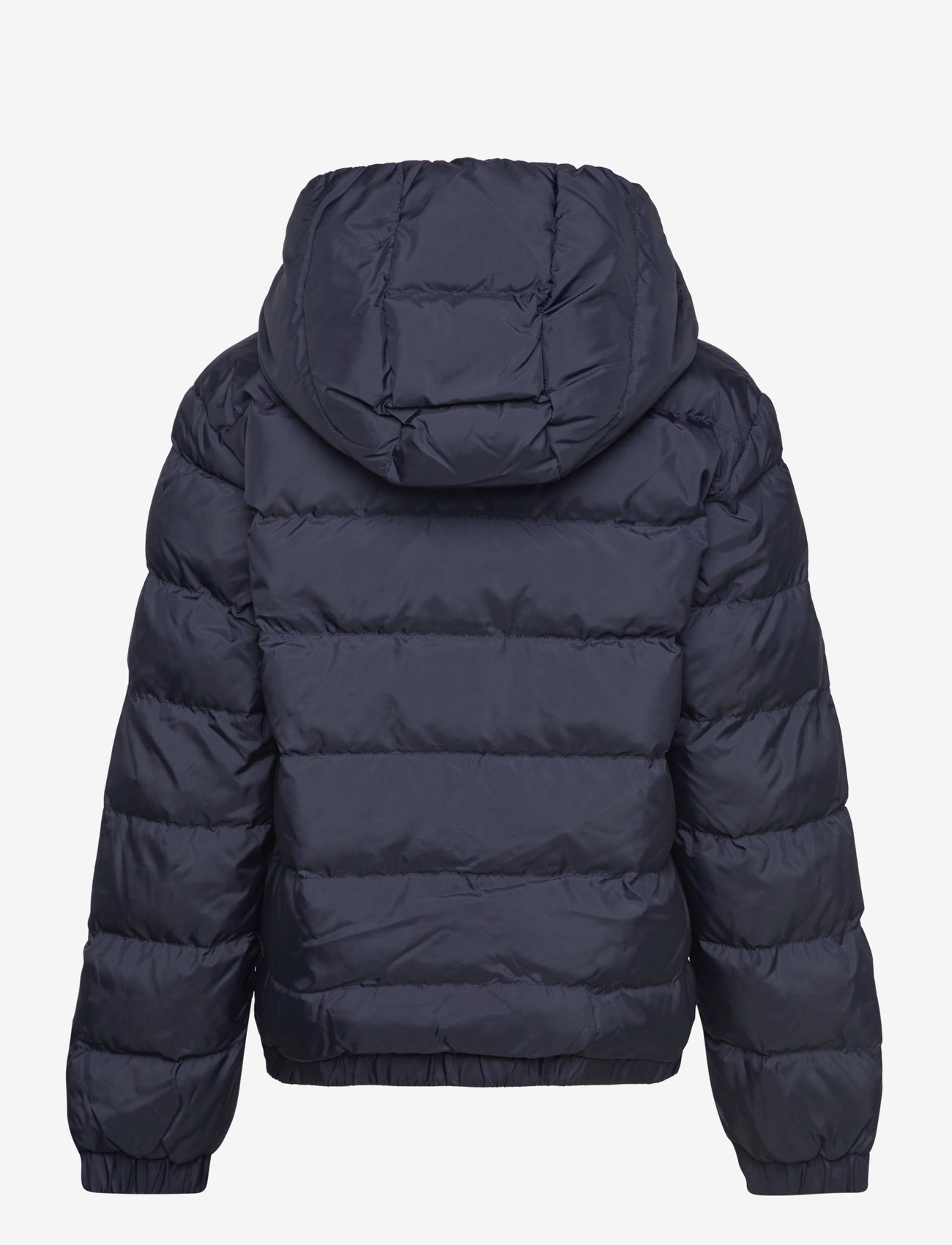 GANT - SHIELD PADDED JACKET - vinterjakker - evening blue - 1