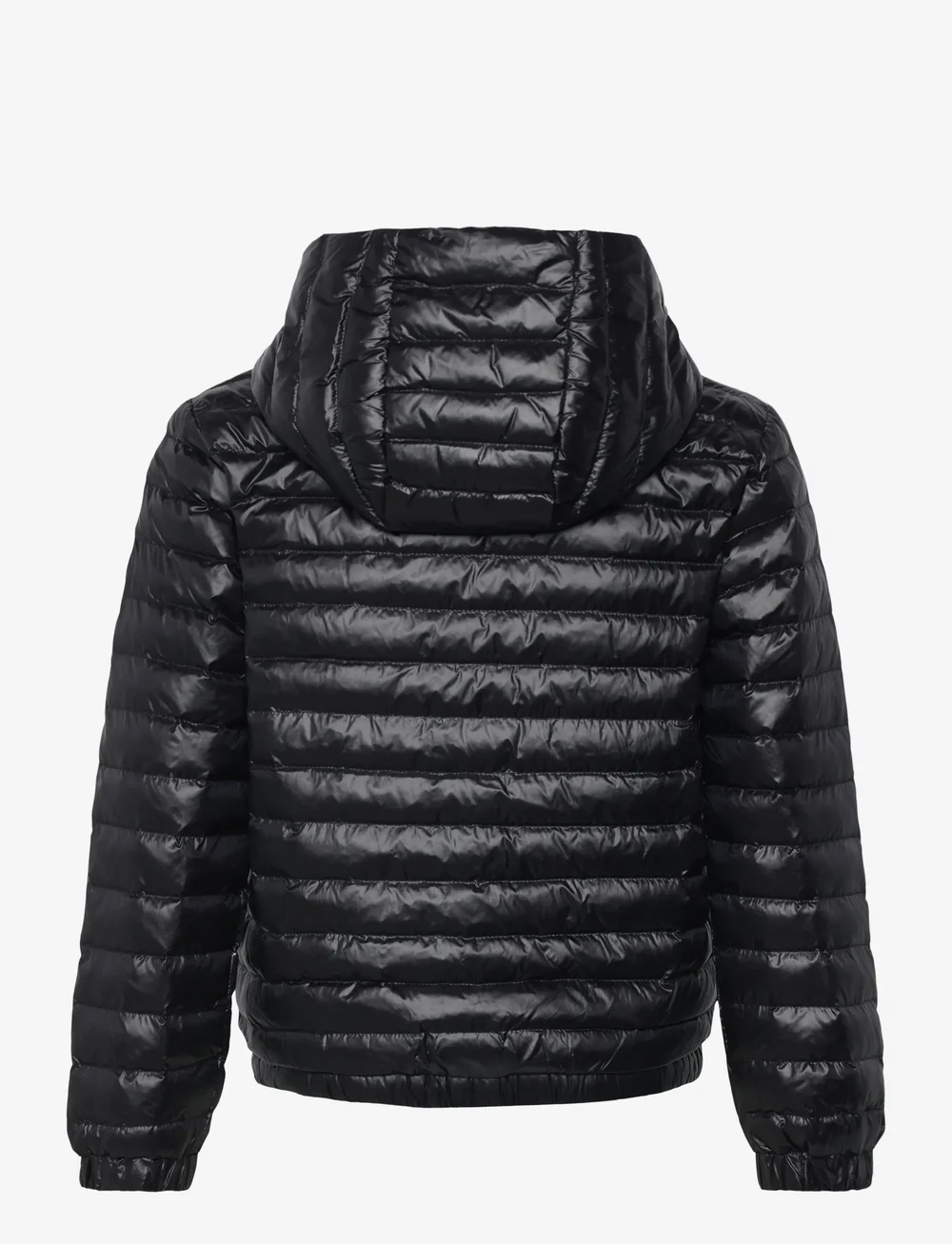 GANT - SHINY LIGHT PADDED JACKET - winterjacke - black - 1