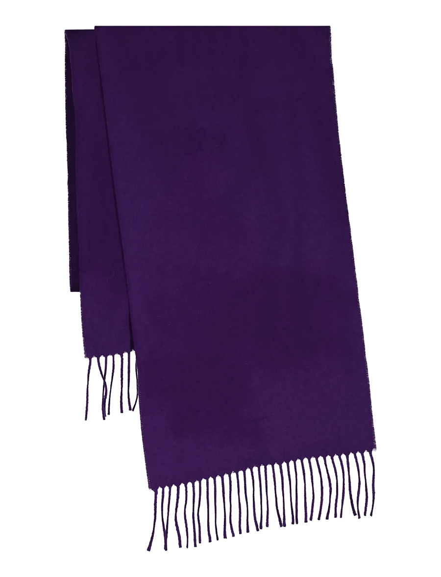 Gant - UNISEX. WOOL SCARF - winterschals - pansy purple - 1