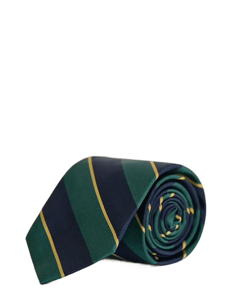 Gant - STRIPED TIE - slipsar - deep forest green - 1