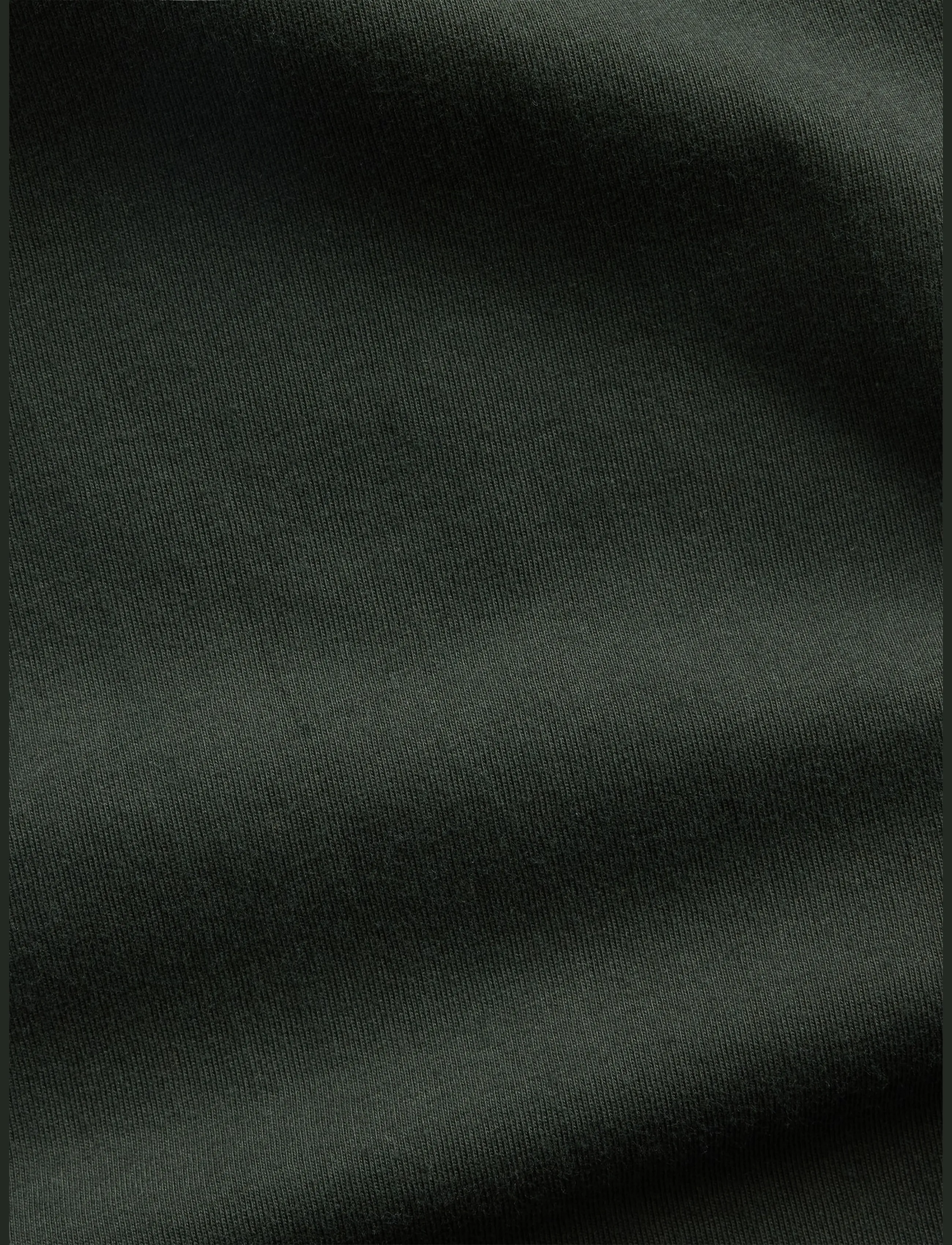 GAP - Soft Cotton Jersey T-shirt from the GAP collection - lühikeste varrukatega t-särgid - green gitane - 4