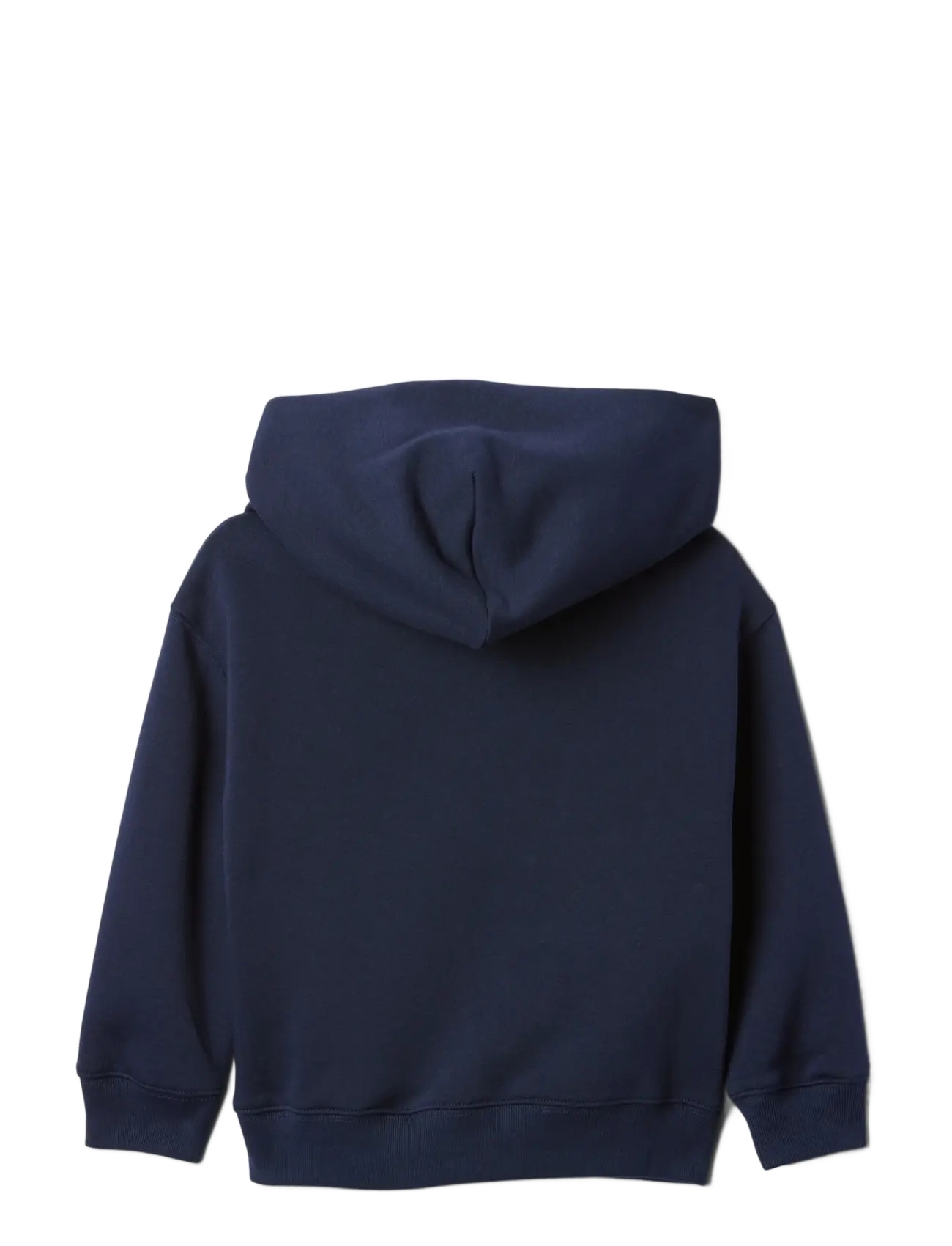GAP - Baby & Toddler VintageSoft Relaxed Hoodie - kapuzenpullover - tapestry navy - 1
