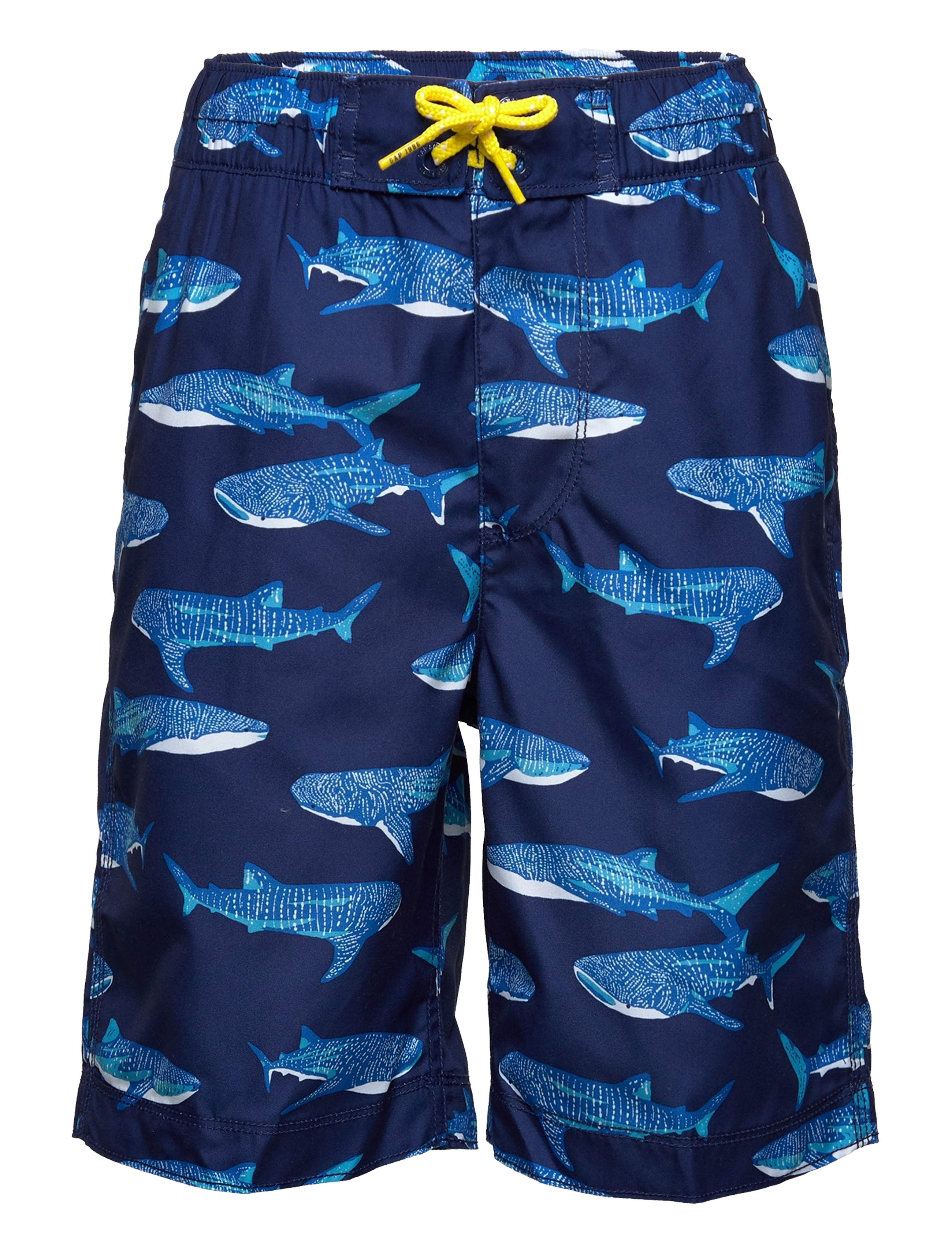 BLUE SHARK