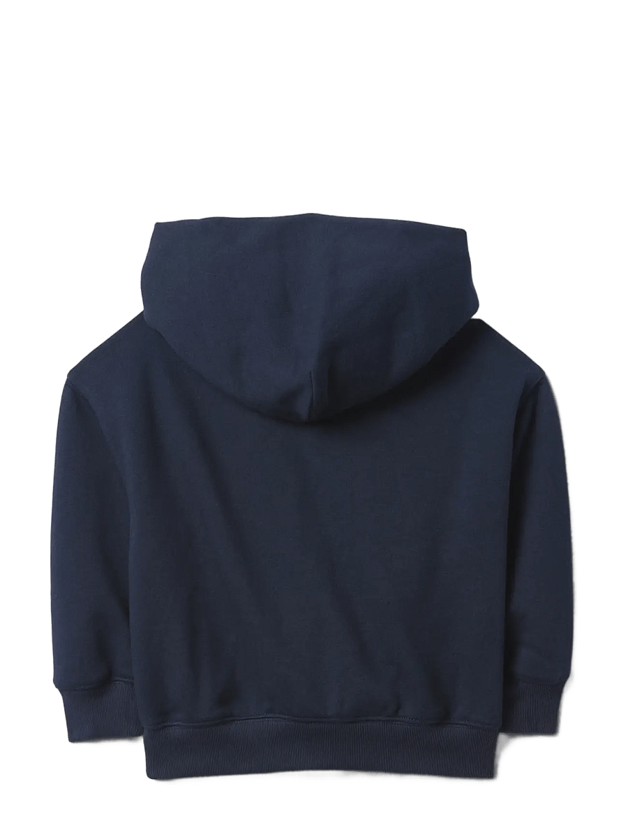 GAP - Baby & Toddler VintageSoft Logo Hoodie - kapuutsiga pusad - tapestry navy - 1
