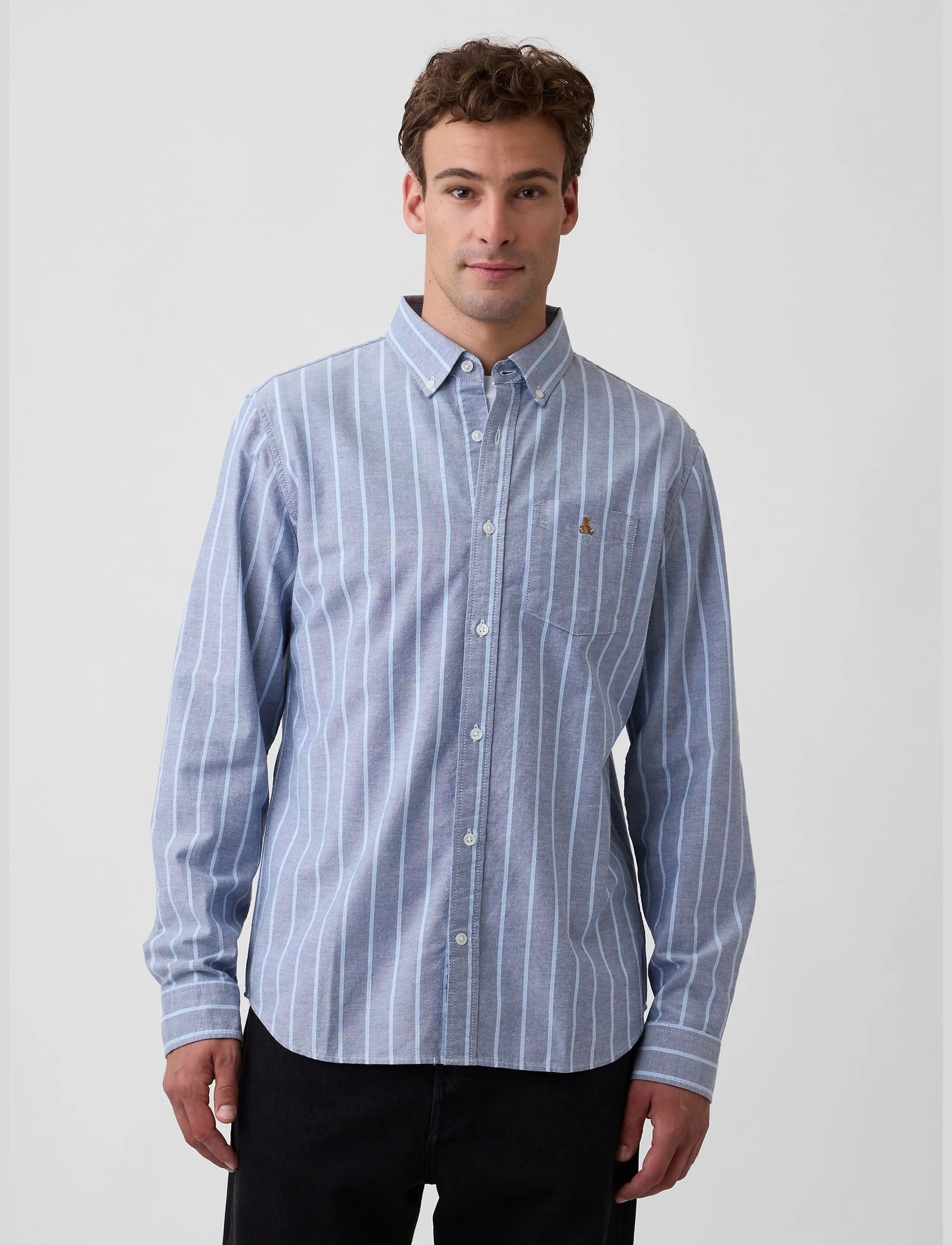 Oxford Shirt In Standard Fit