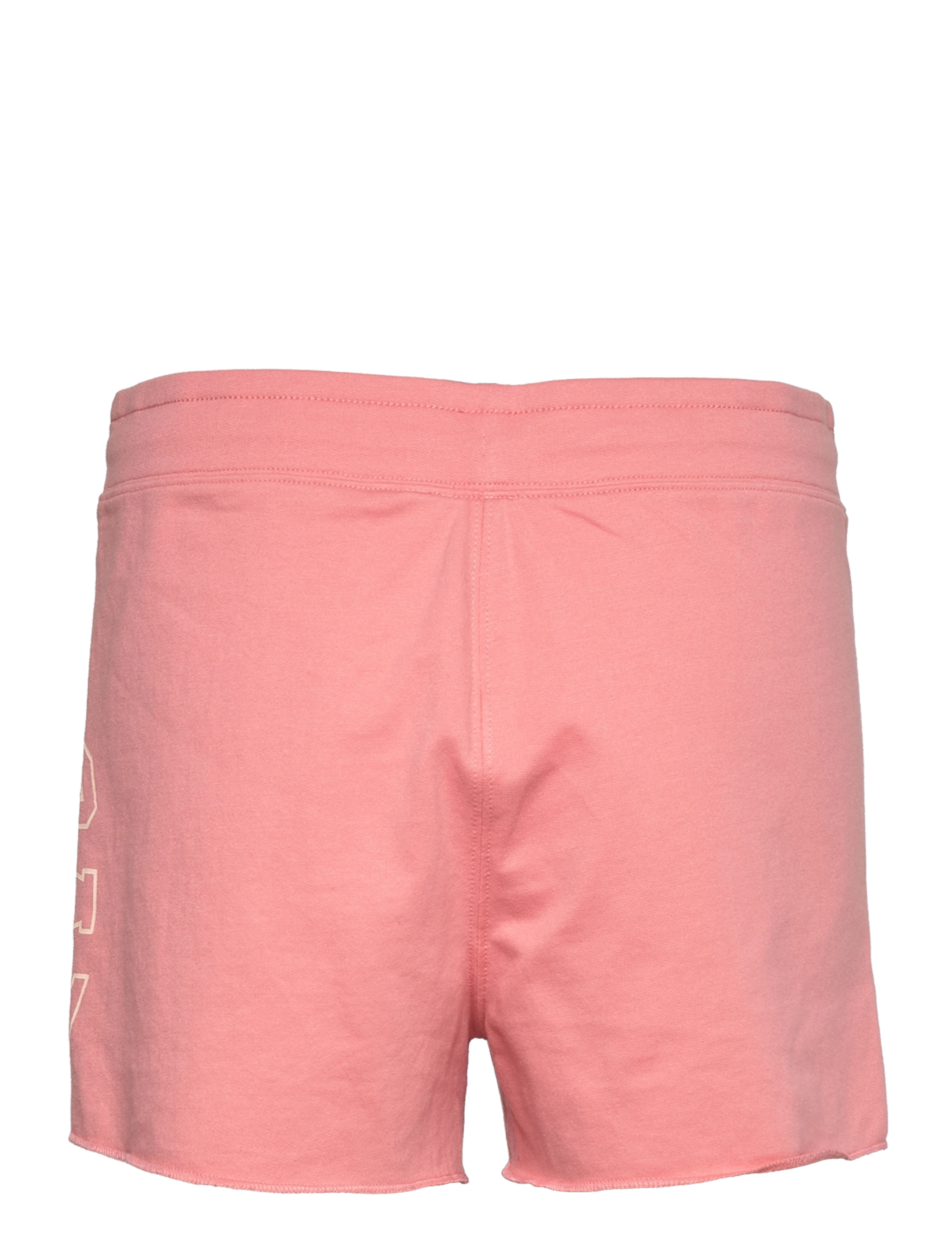 GAP - V-GAP LOGO DB SHORT EXC - gravlax 505 - 1