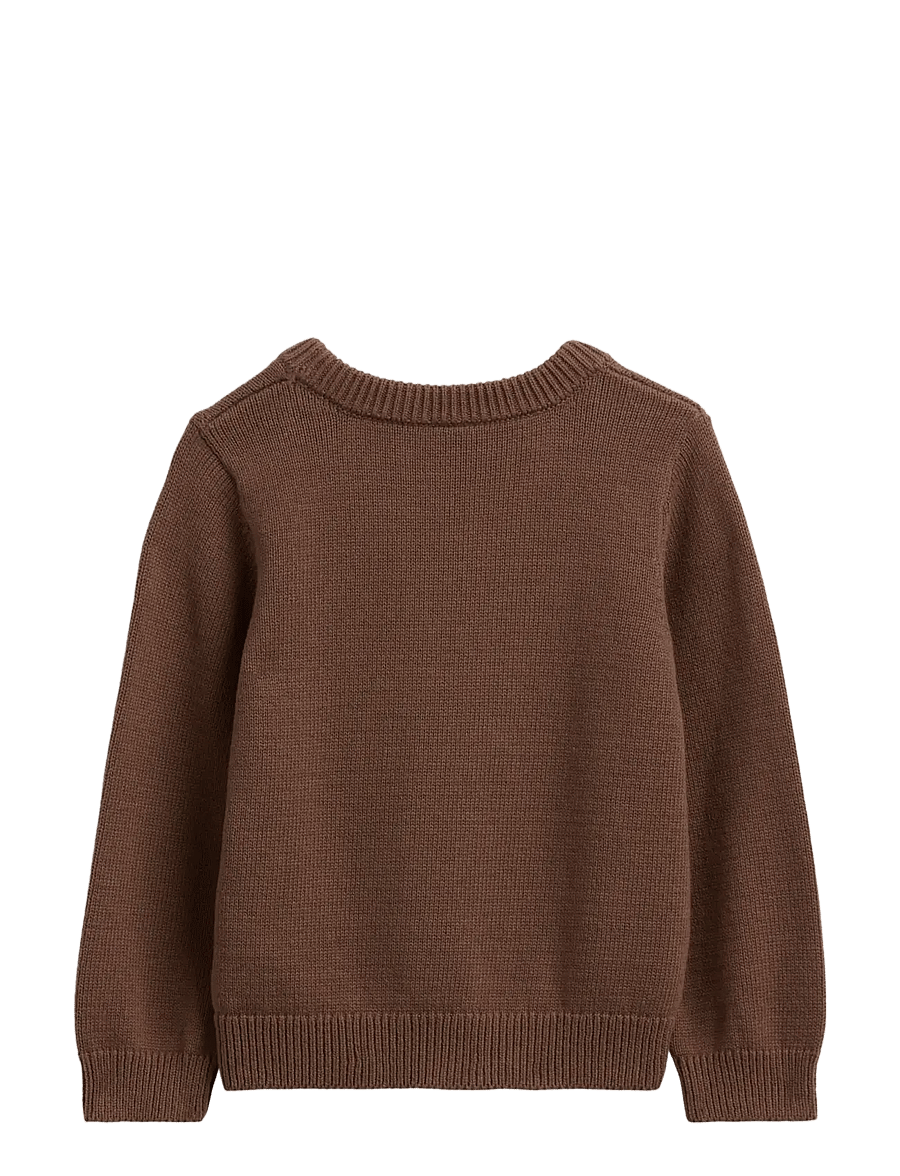 GAP - Baby & Toddler Crewneck Sweater - stickade tröjor - brannan brown - 1